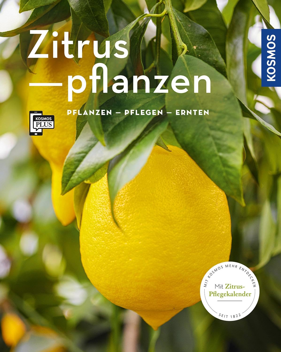 Zitruspflanzen (Mein Garten) Garden & Plants