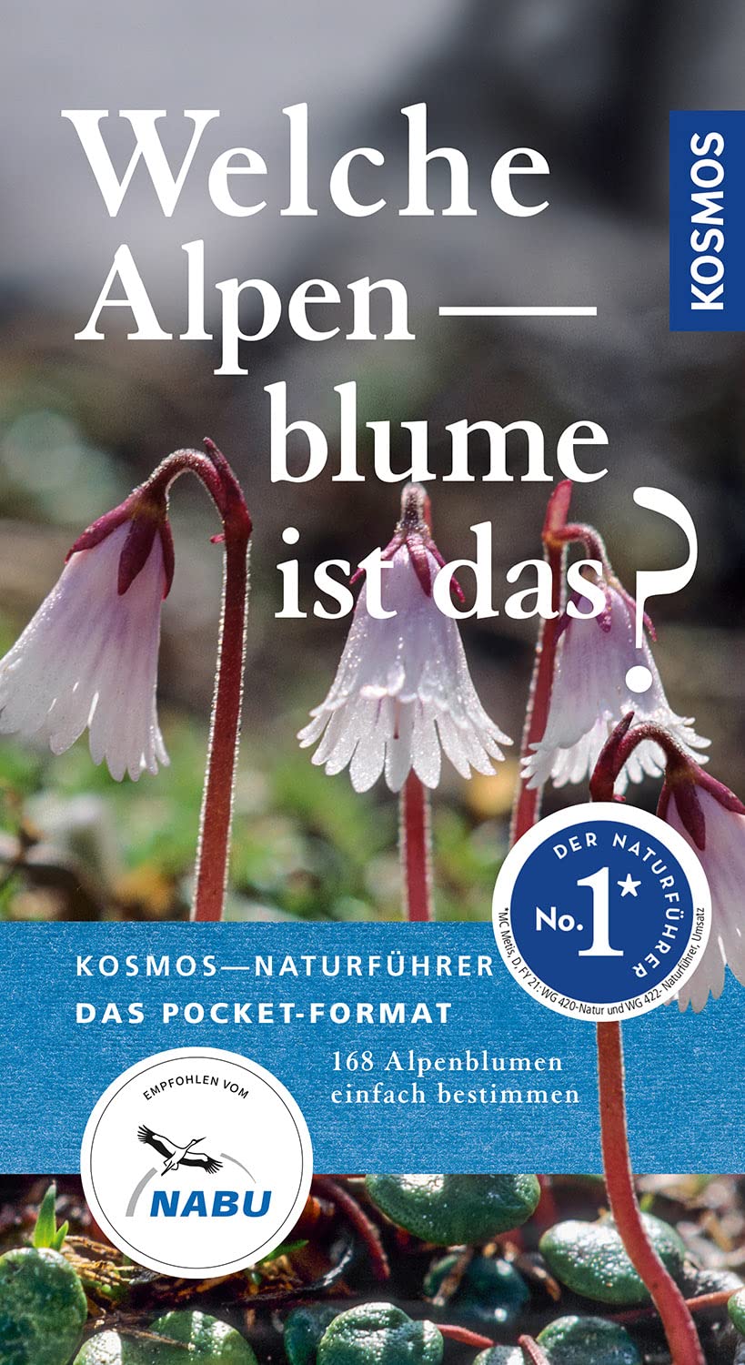 Welche Alpenblume ist das? Leisure, Home & Garden