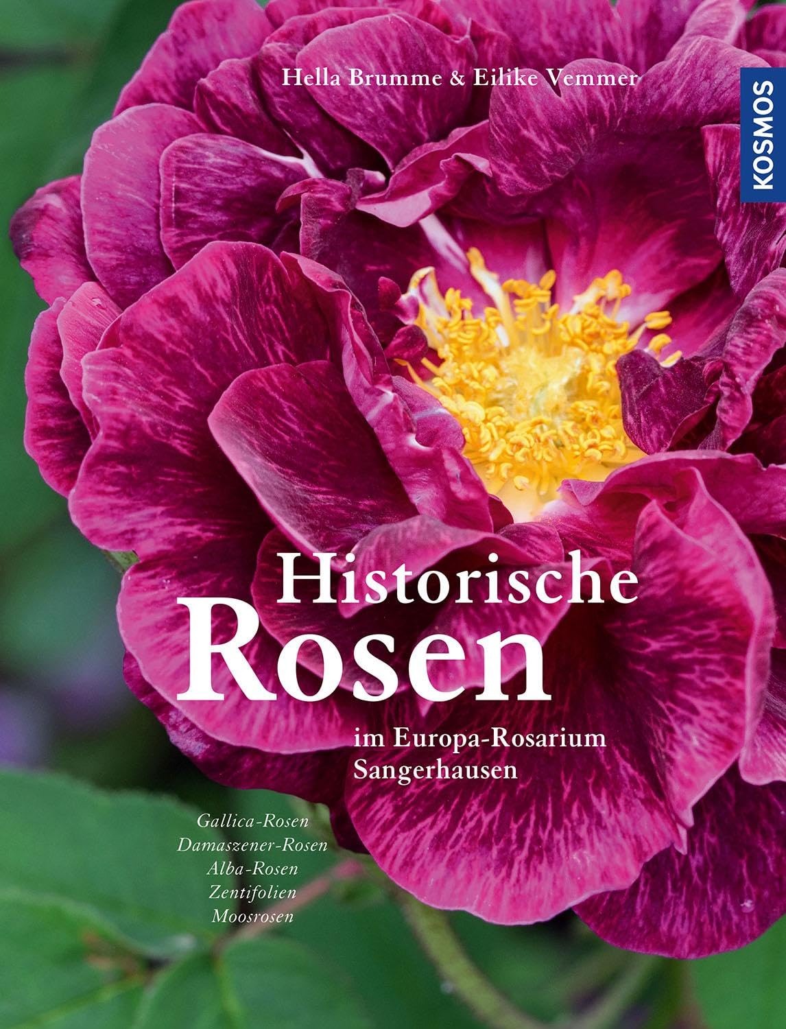Product Image: Historische Rosen
