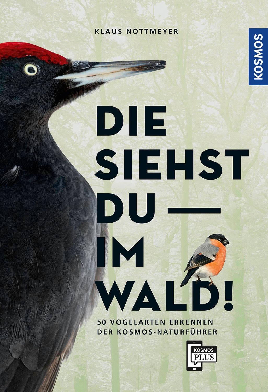 Die siehst du im Wald! 64 Vogelarten erkennen Leisure, Home & Garden