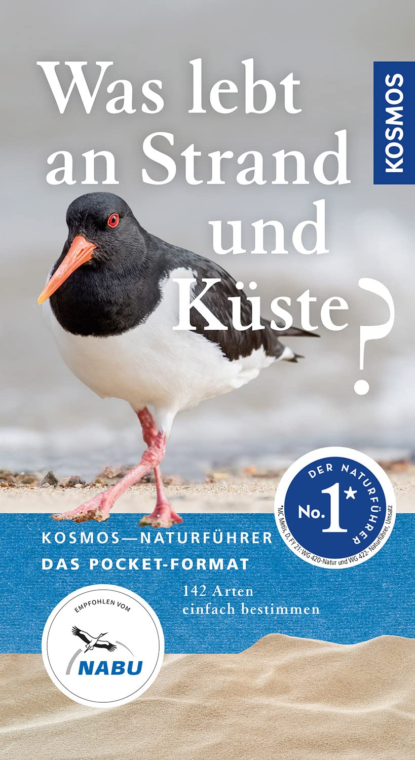 Was lebt an Strand und Küste? Leisure, Home & Garden