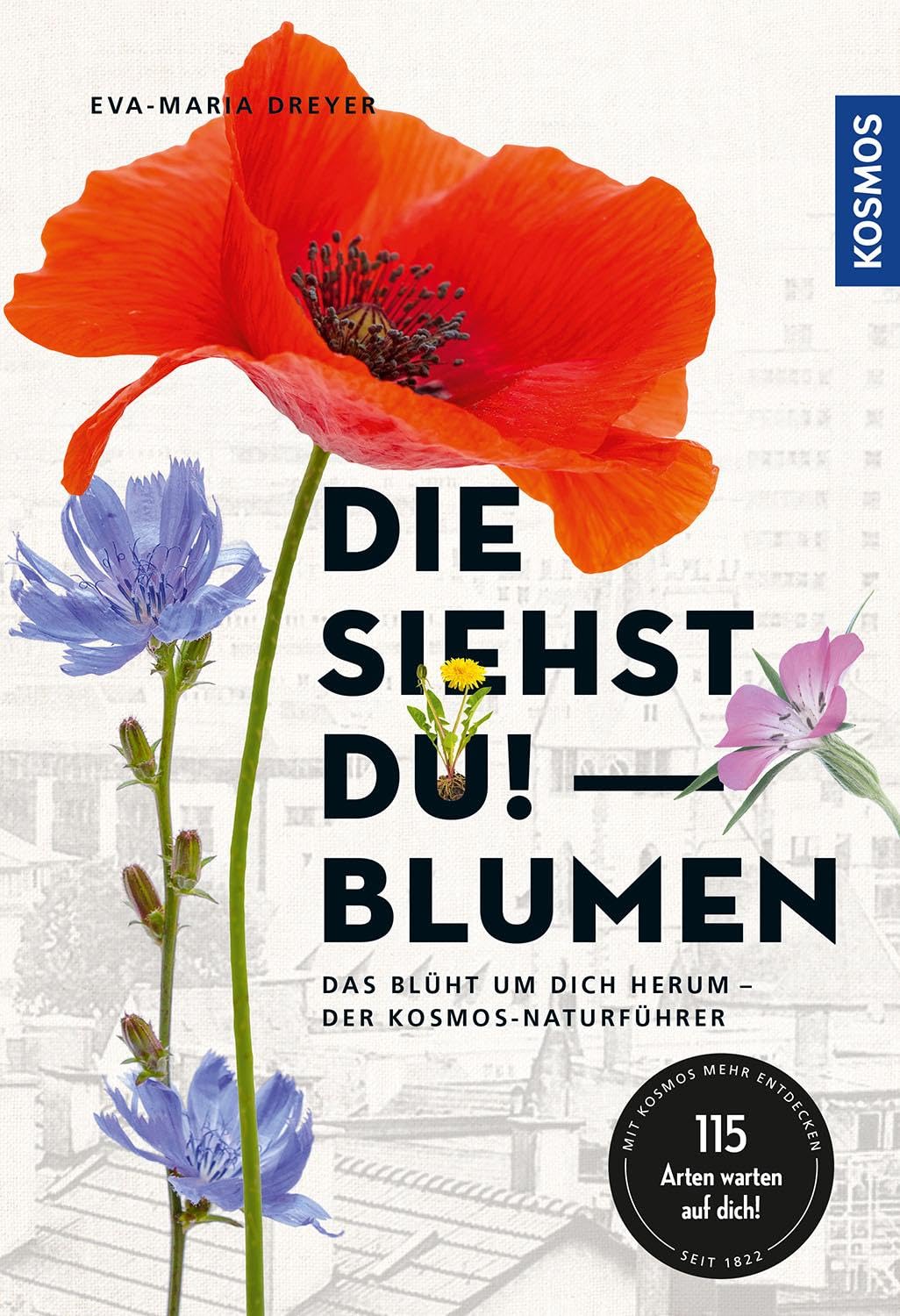 Die siehst du - Blumen: Das blüht um dich herum - Der Kosmos-Naturführer Leisure, Home & Garden