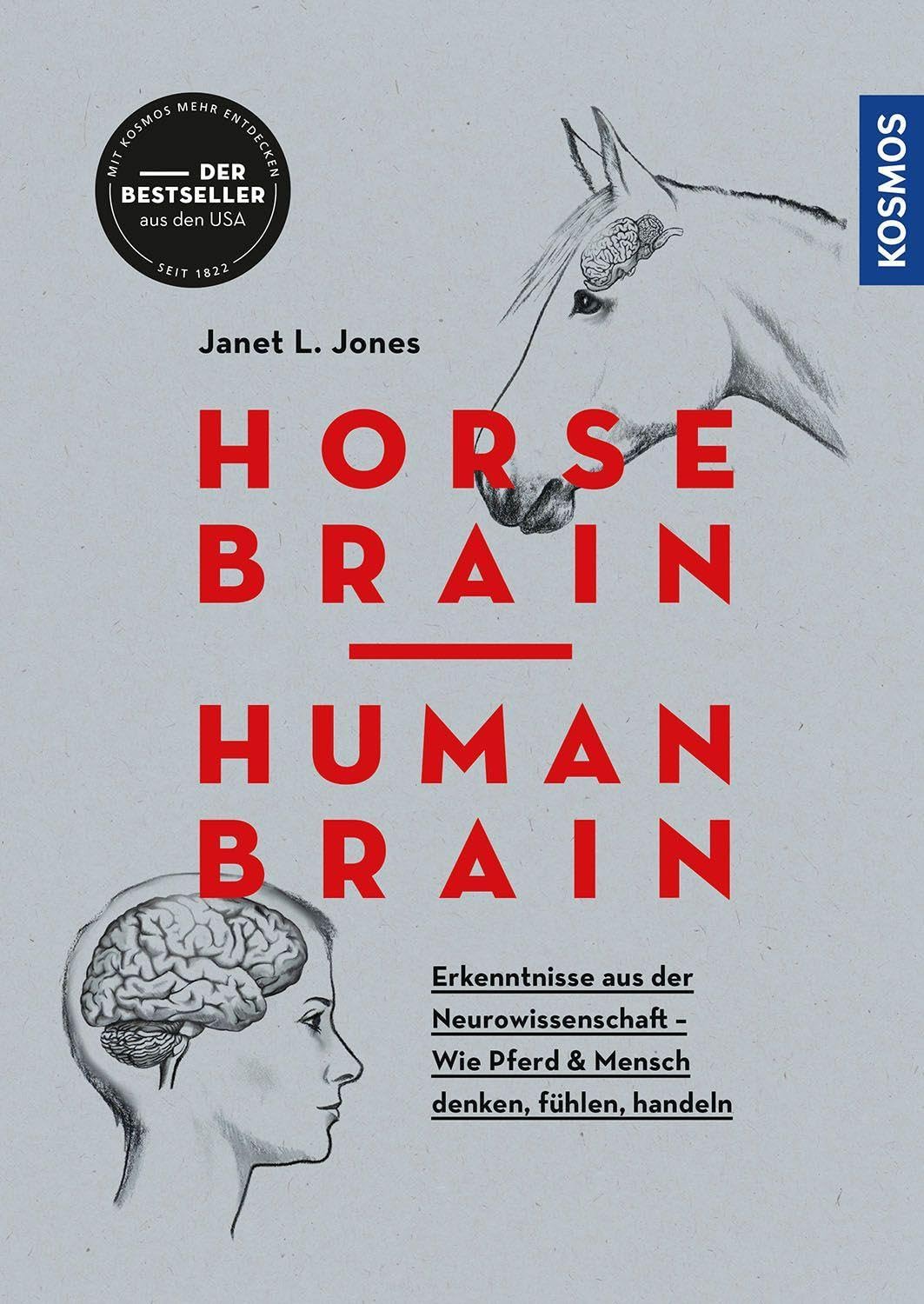 Product Image: Horse Brain, Human Brain