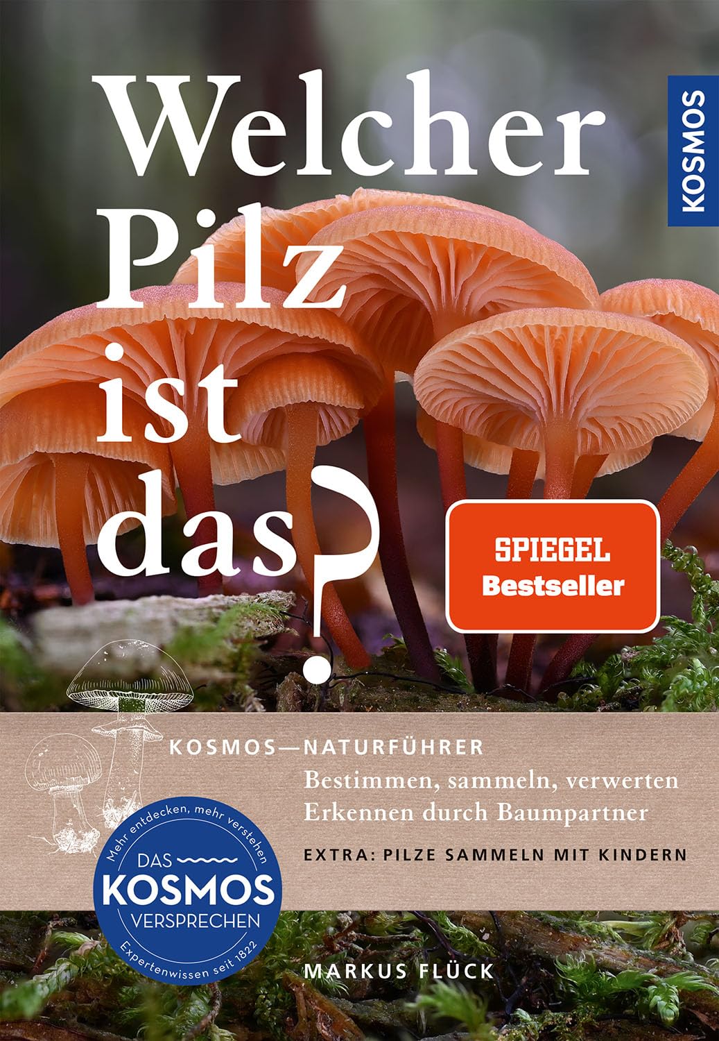 Product Image: Welcher Pilz ist das?