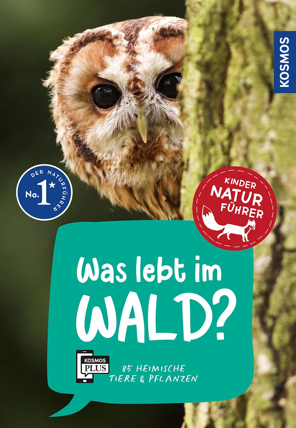 Was lebt im Wald? Kindernaturführer Natural Sciences