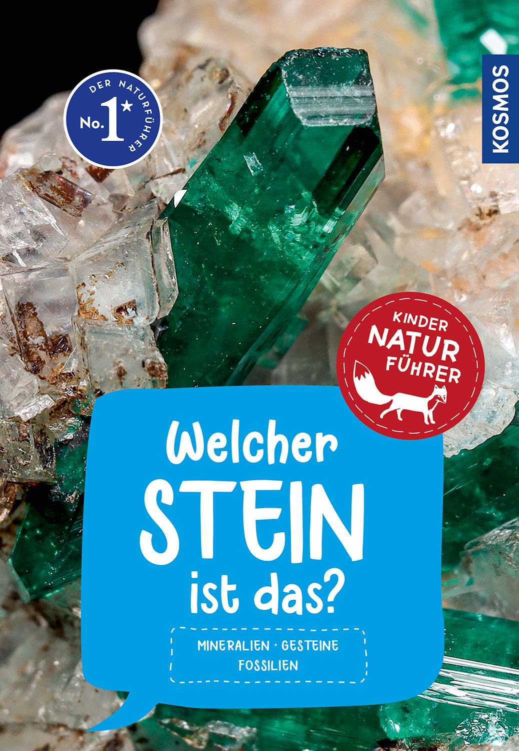 Welcher Stein ist das? Kindernaturführer General education