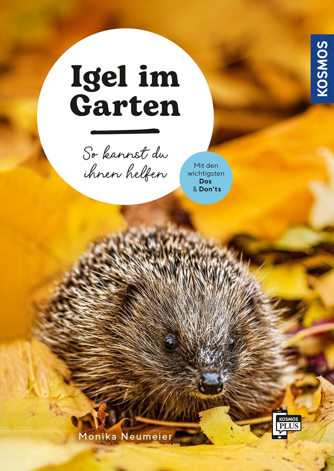 Igel im Garten Garden & Plants