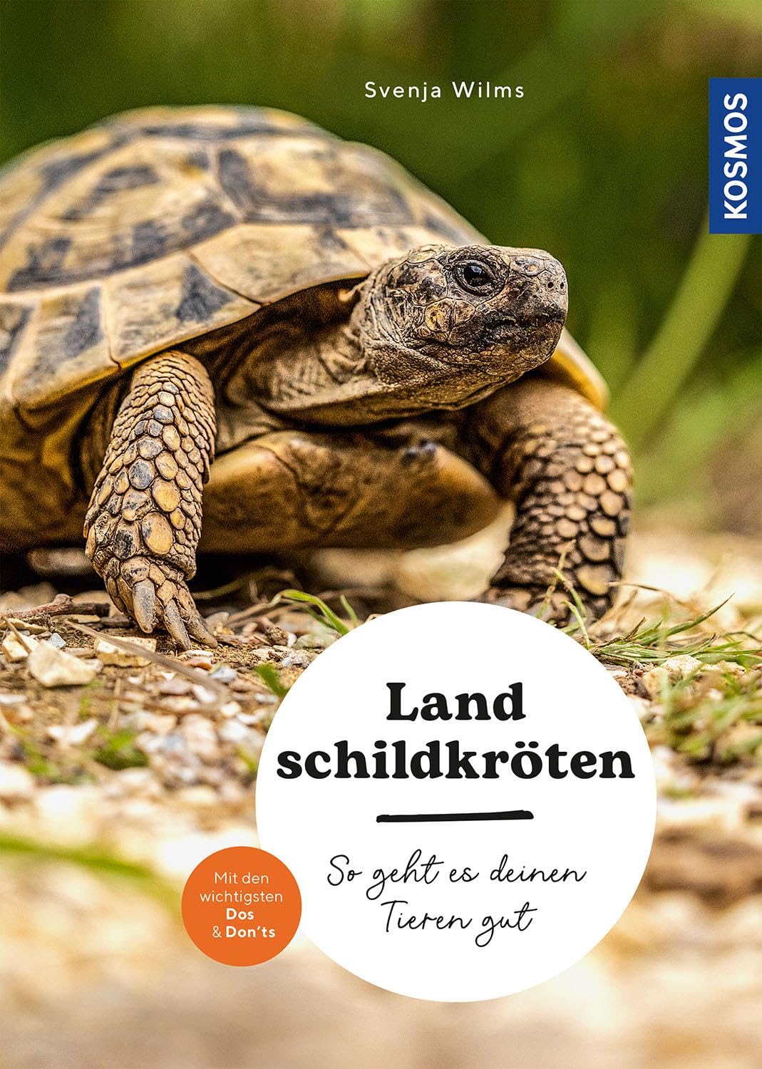 Product Image: Landschildkröten