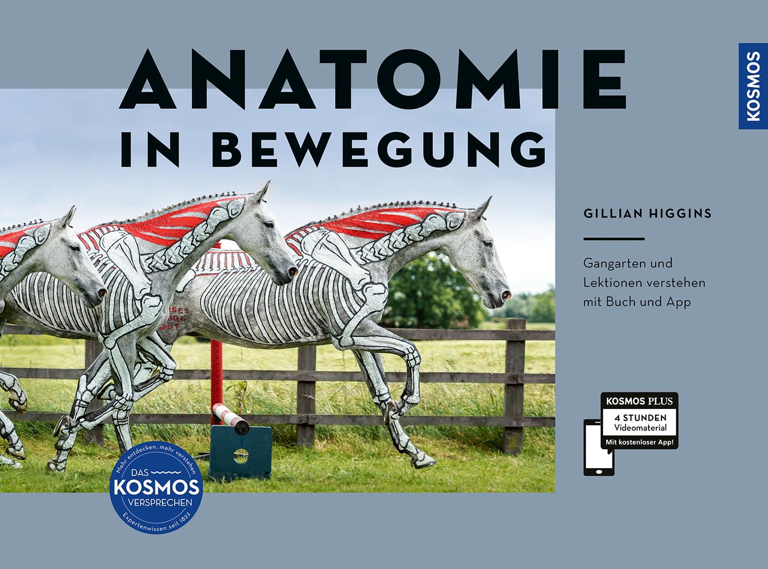 Product Image: Anatomie in Bewegung