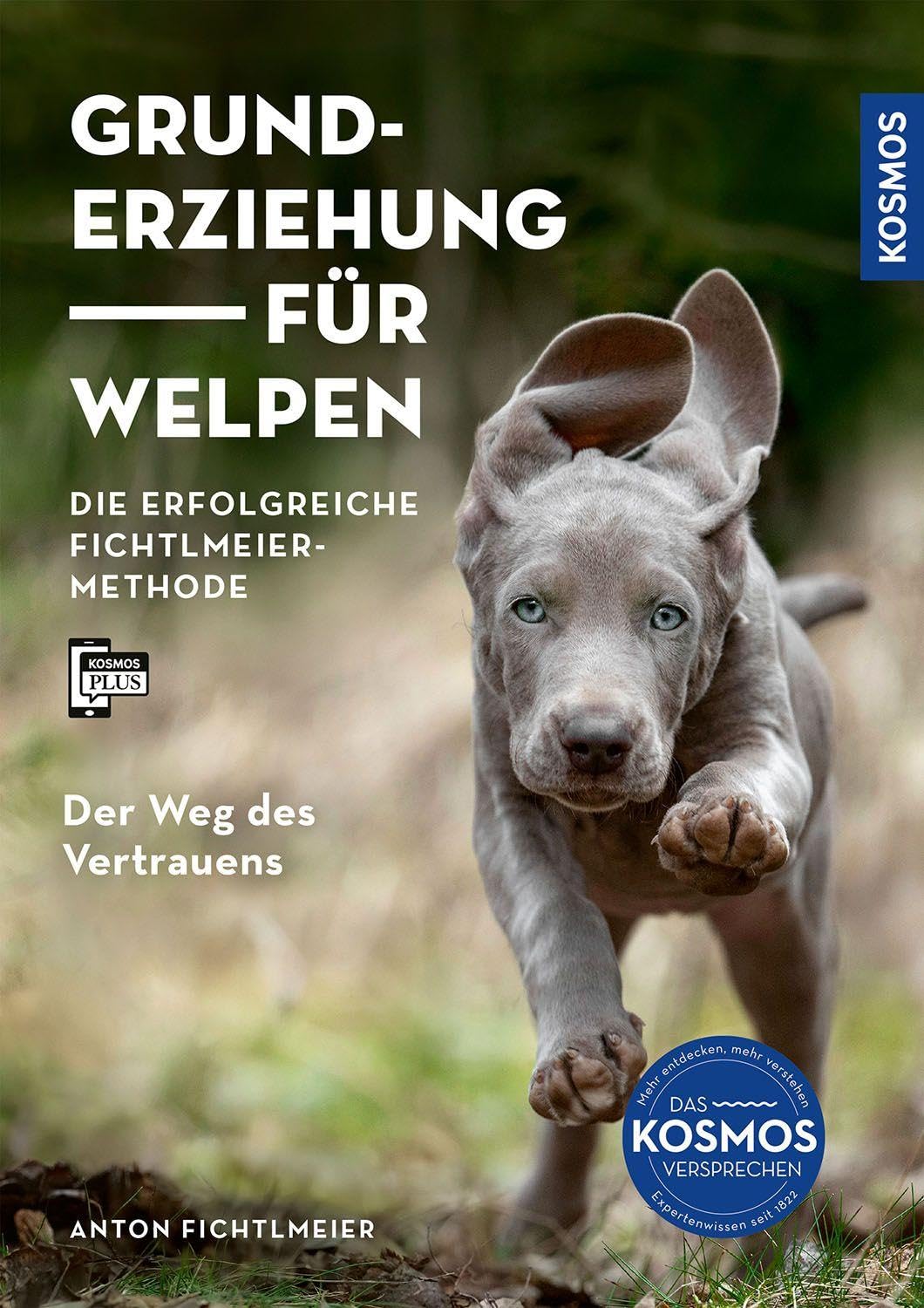 Grunderziehung für Welpen Pets
