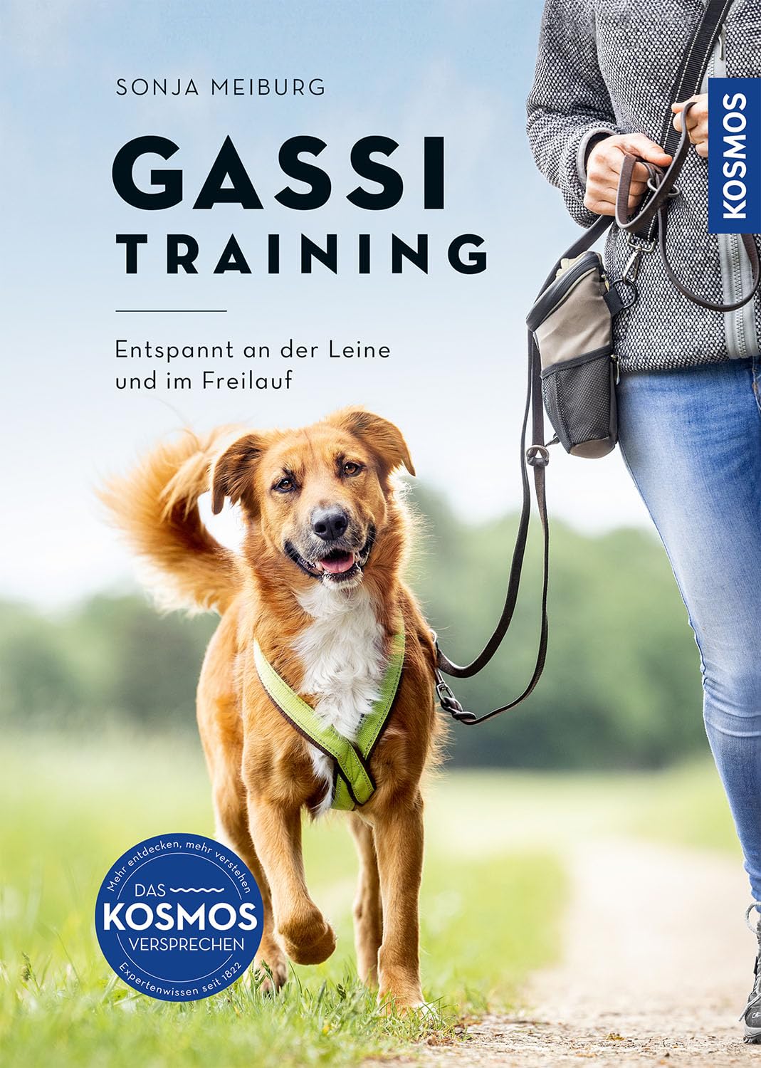 Gassi-Training: Entspannt an der Leine und im Freilauf Pets