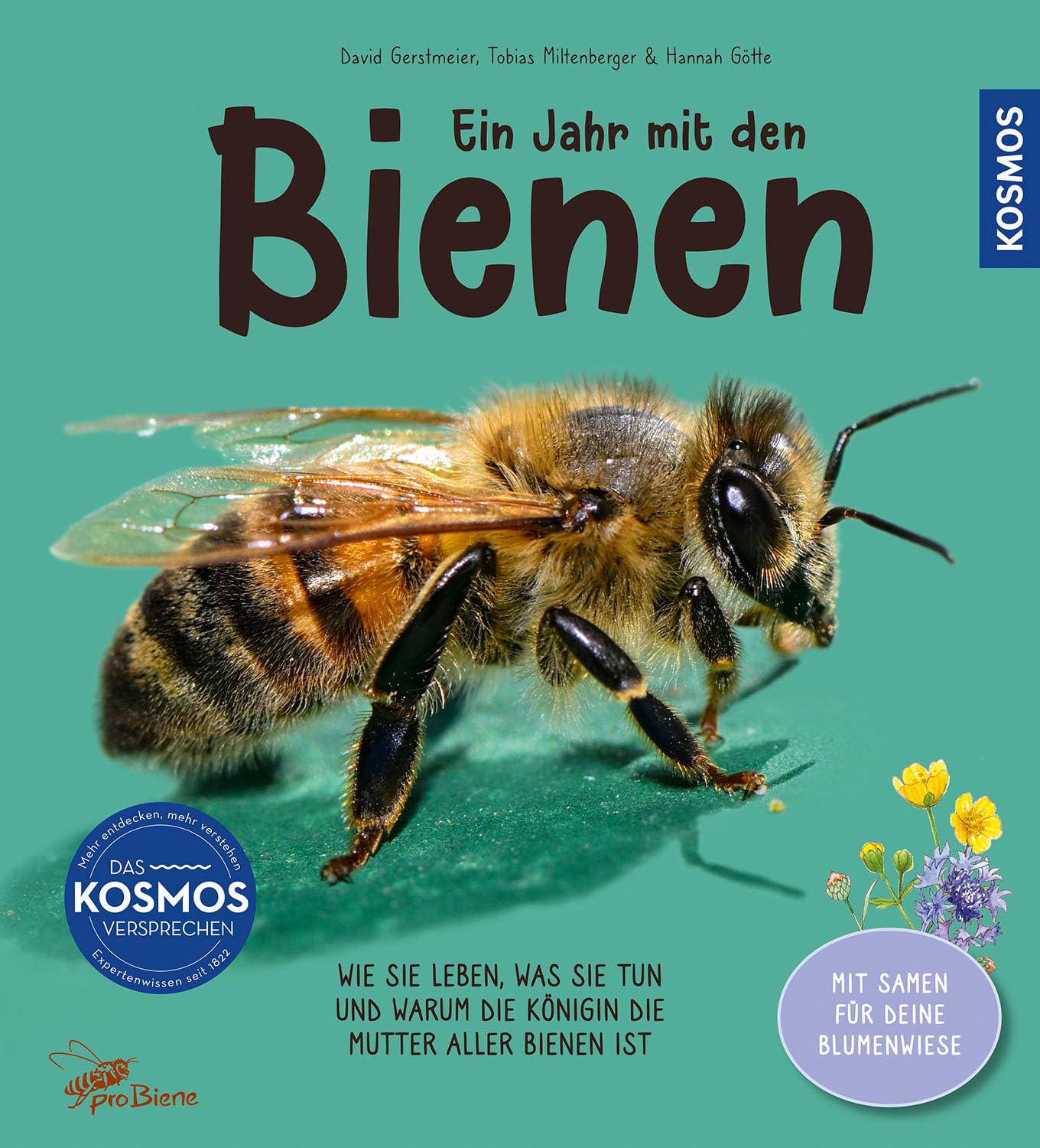 Ein Jahr mit den Bienen Business & Technology