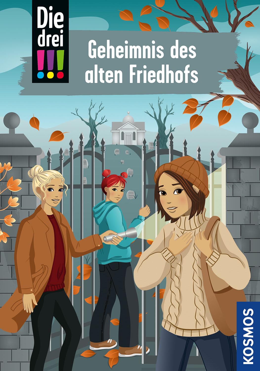 Die drei !!!,116, Geheimnis des alten Friedhofs Novels & Short Stories