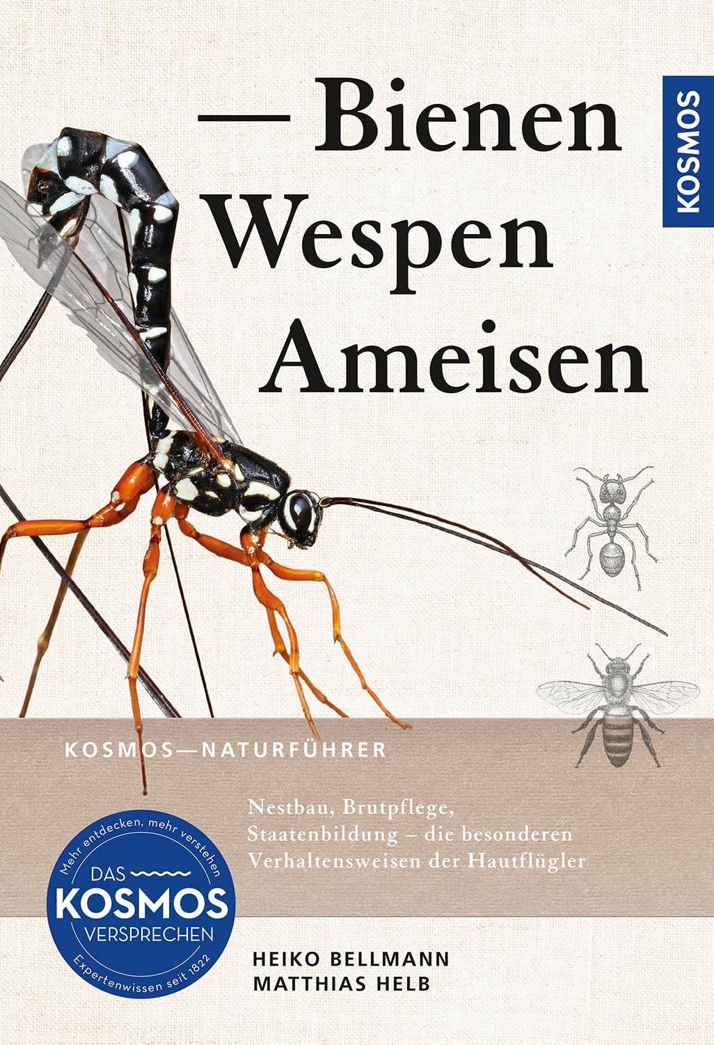 Bienen, Wespen, Ameisen: Insekten Mitteleuropas: Nestbau, Brutpflege, Staatenbildung - die besonderen Verhaltensweisen der Hautflügler Leisure, Home & Garden