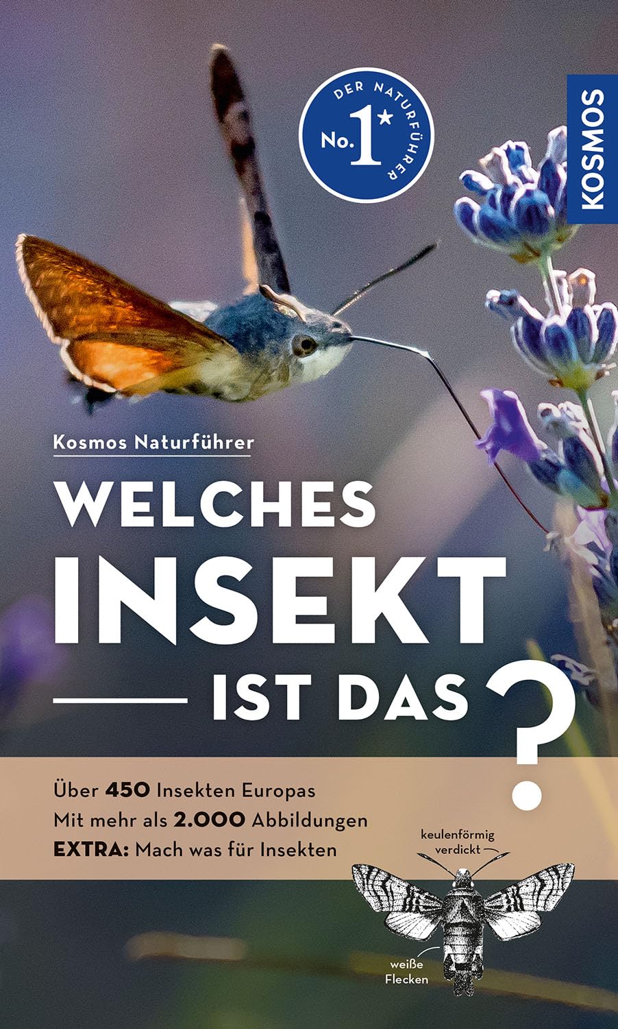 Welches Insekt ist das?: Über 450 Insekten Europas, mehr als 2.000 Abbildungen EXTRA: Mach was für Insekten - mit Kosmos-plus-App Leisure, Home & Garden