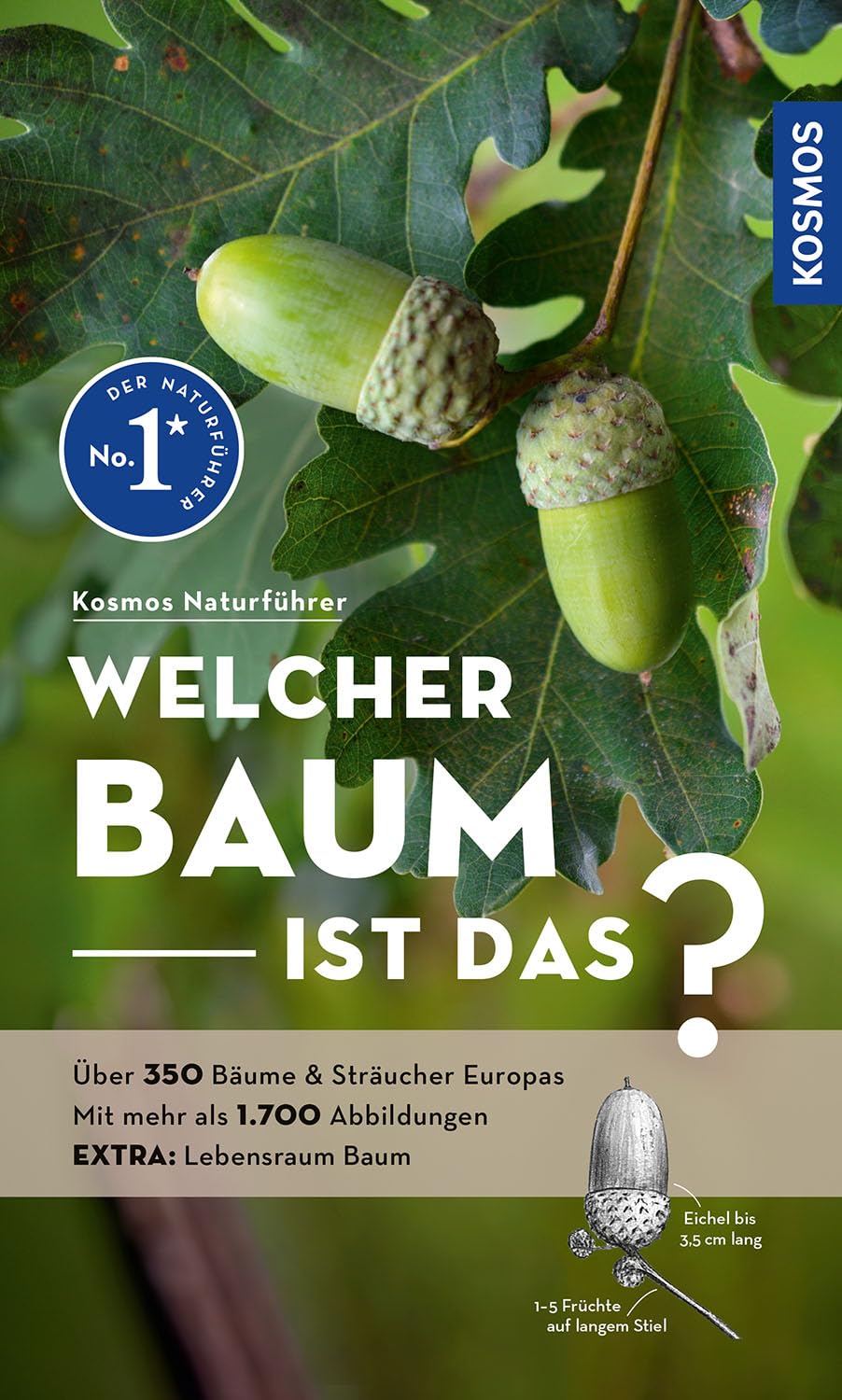 Welcher Baum ist das? Leisure, Home & Garden