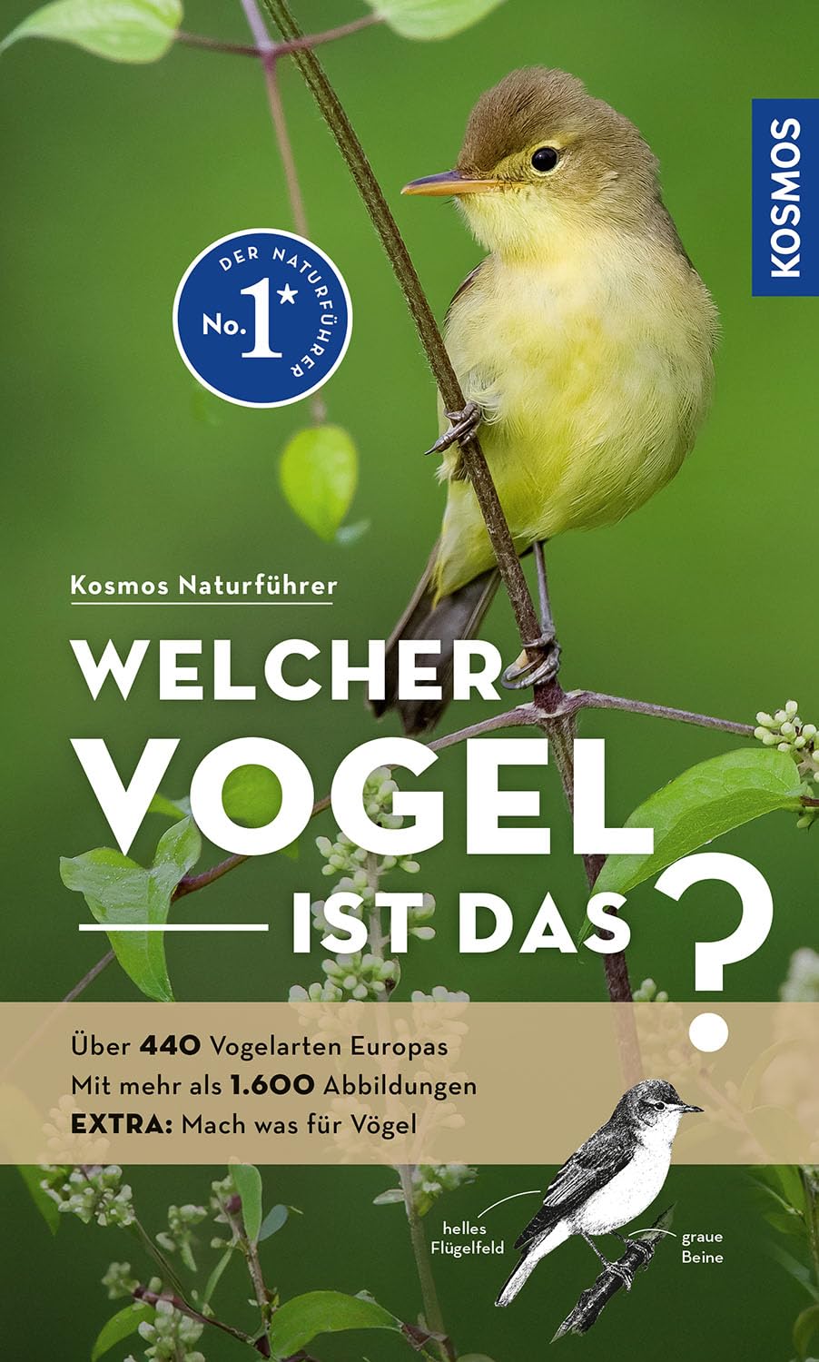 Product Image: Welcher Vogel ist das?