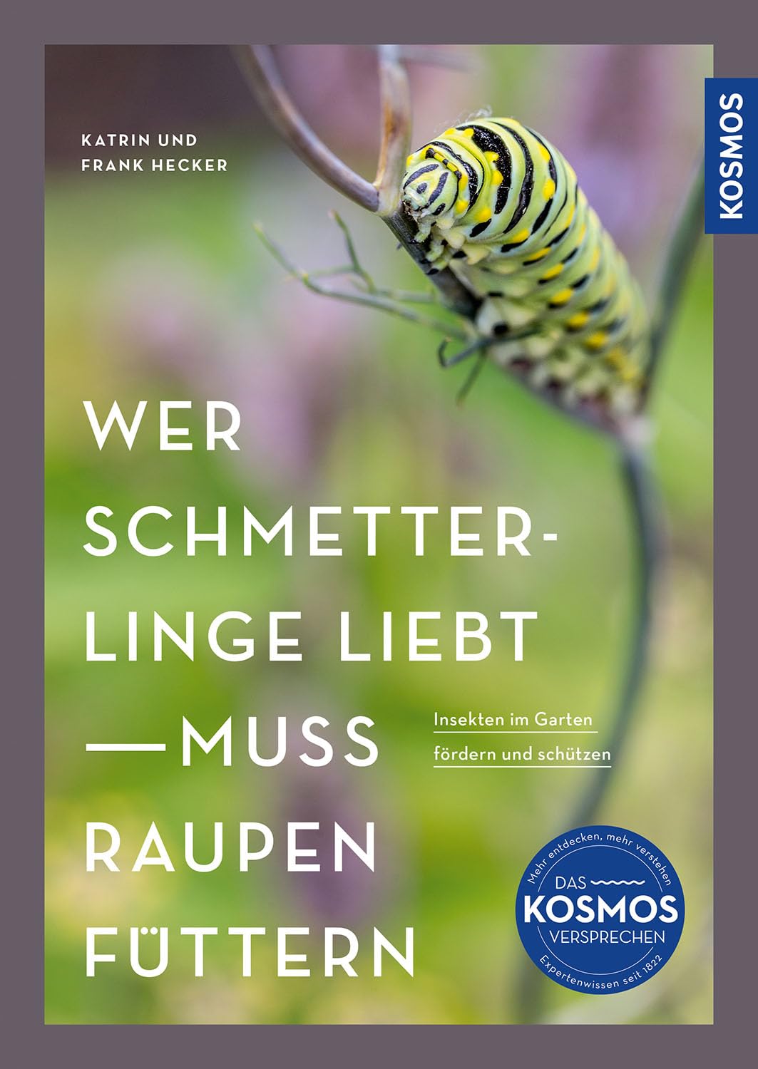 Wer Schmetterlinge liebt, muss Raupen füttern Garden & Plants