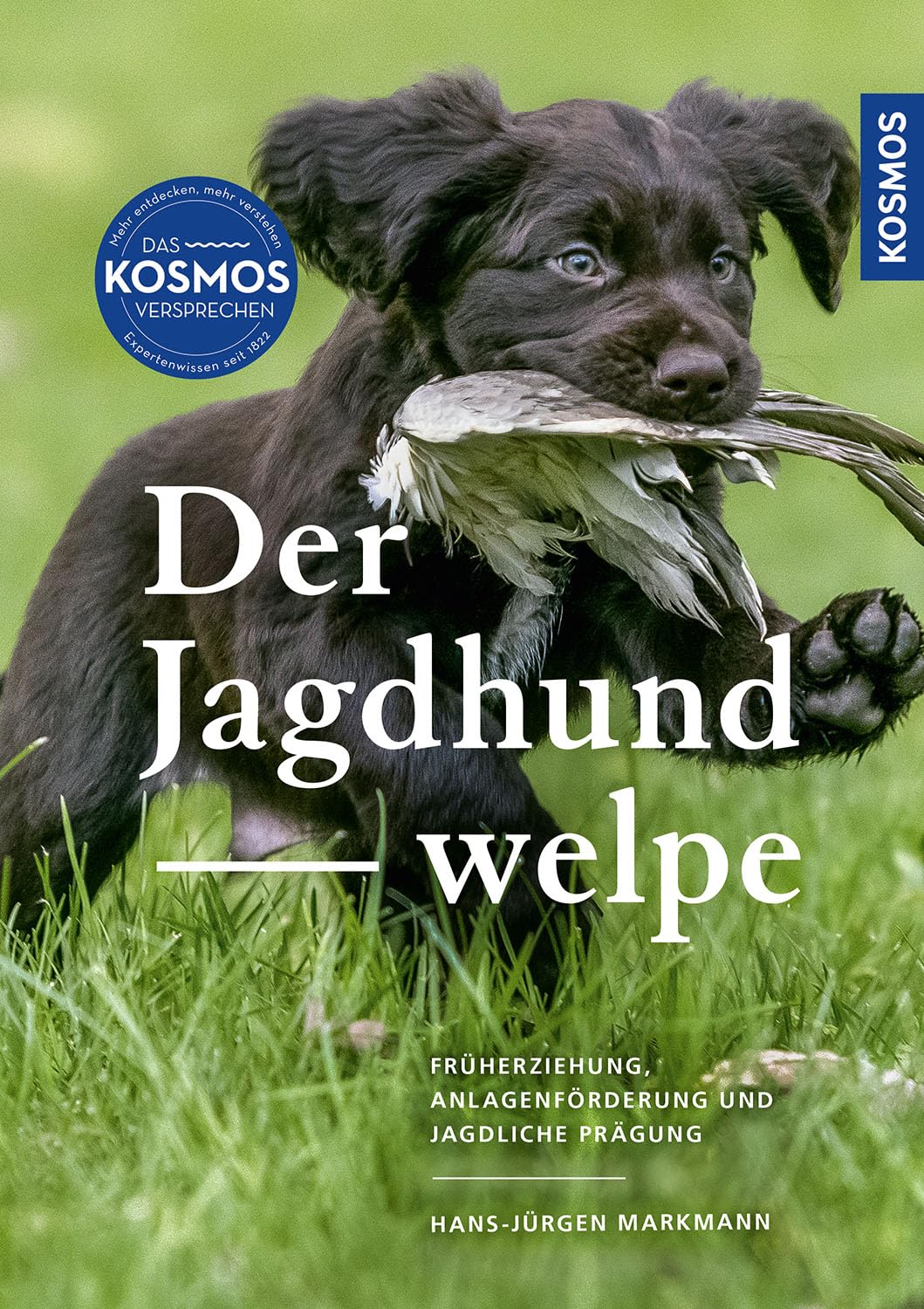 Product Image: Der Jagdhundwelpe