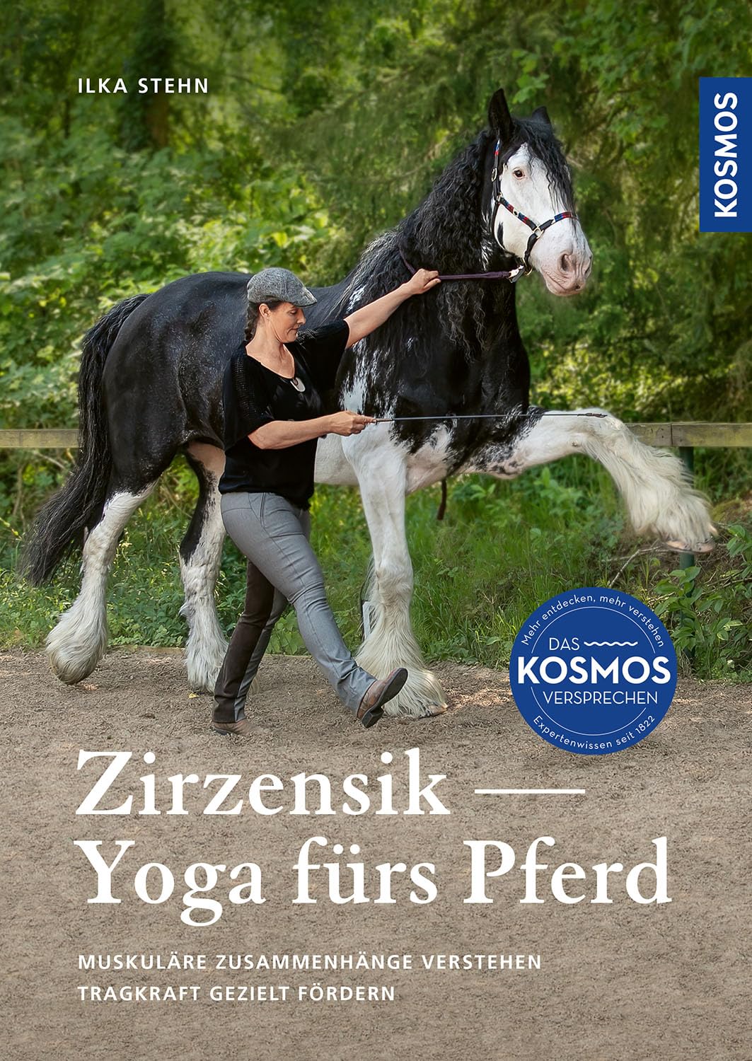 Zirzensik - Yoga für Pferde Pets