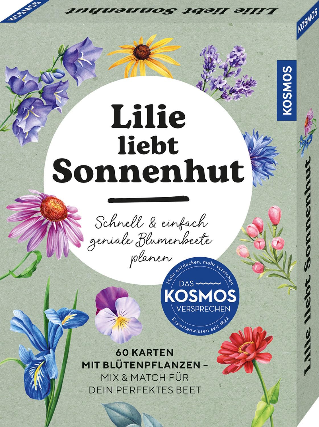 Lilie liebt Sonnenhut Garden & Plants