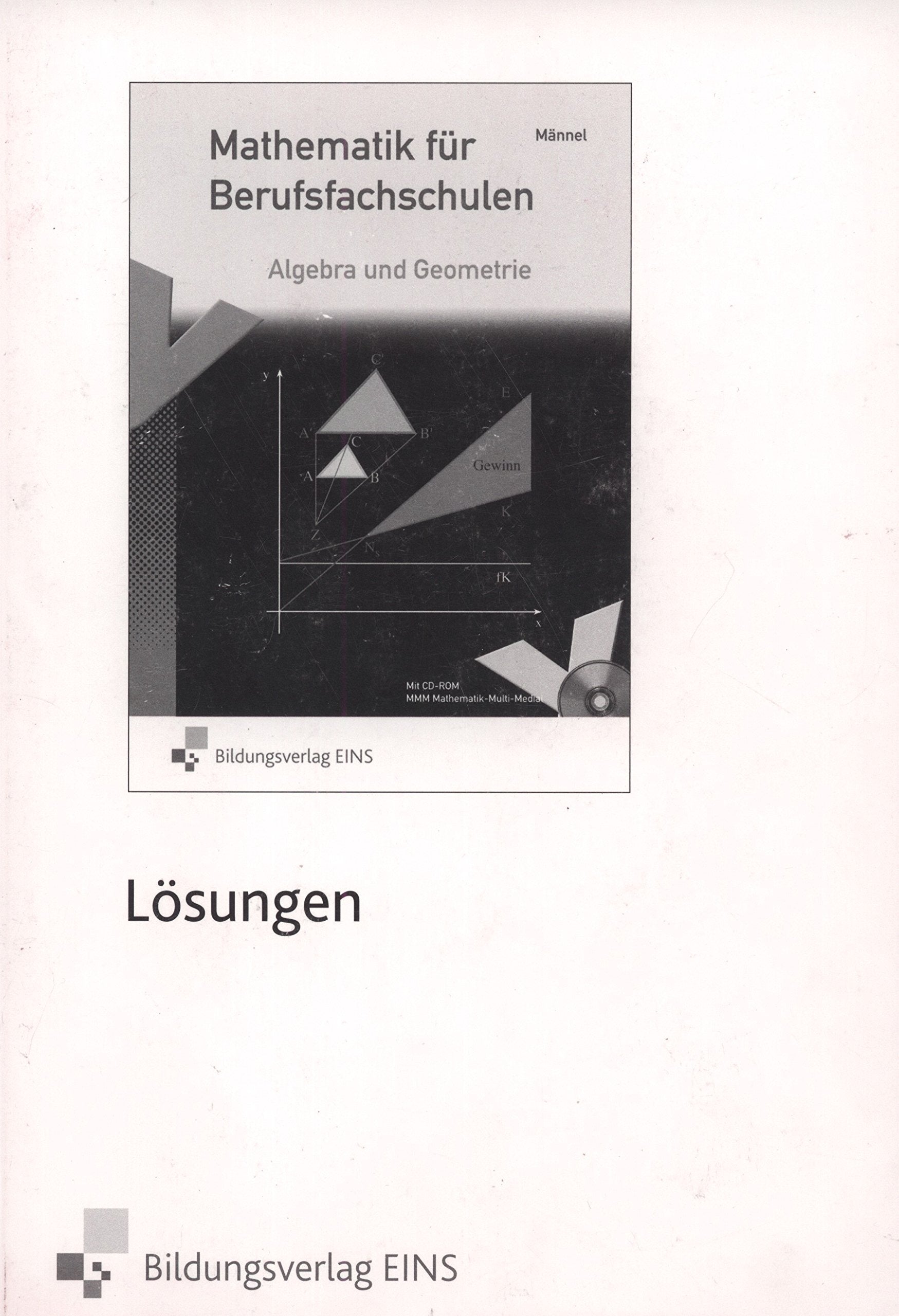 Mathematik für Berufsfachschulen: Algebra und Geometrie. Lösungen Education & Training