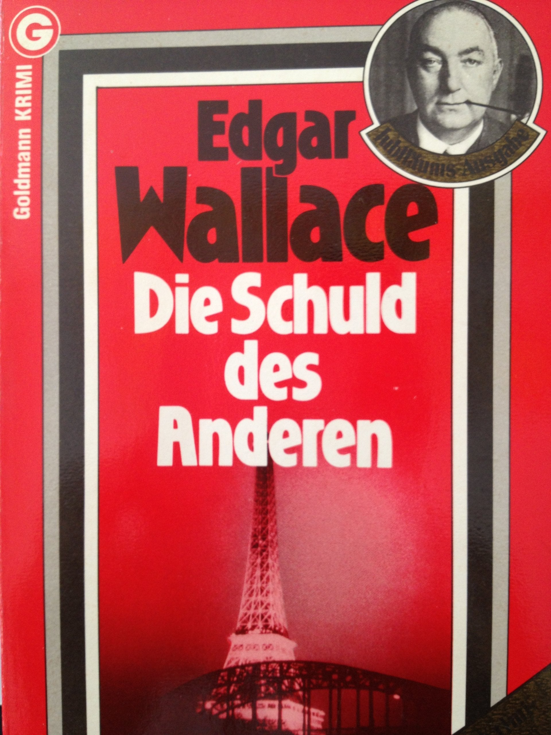 Die Schuld des Anderen (Goldmann Krimi) Contemporary literature