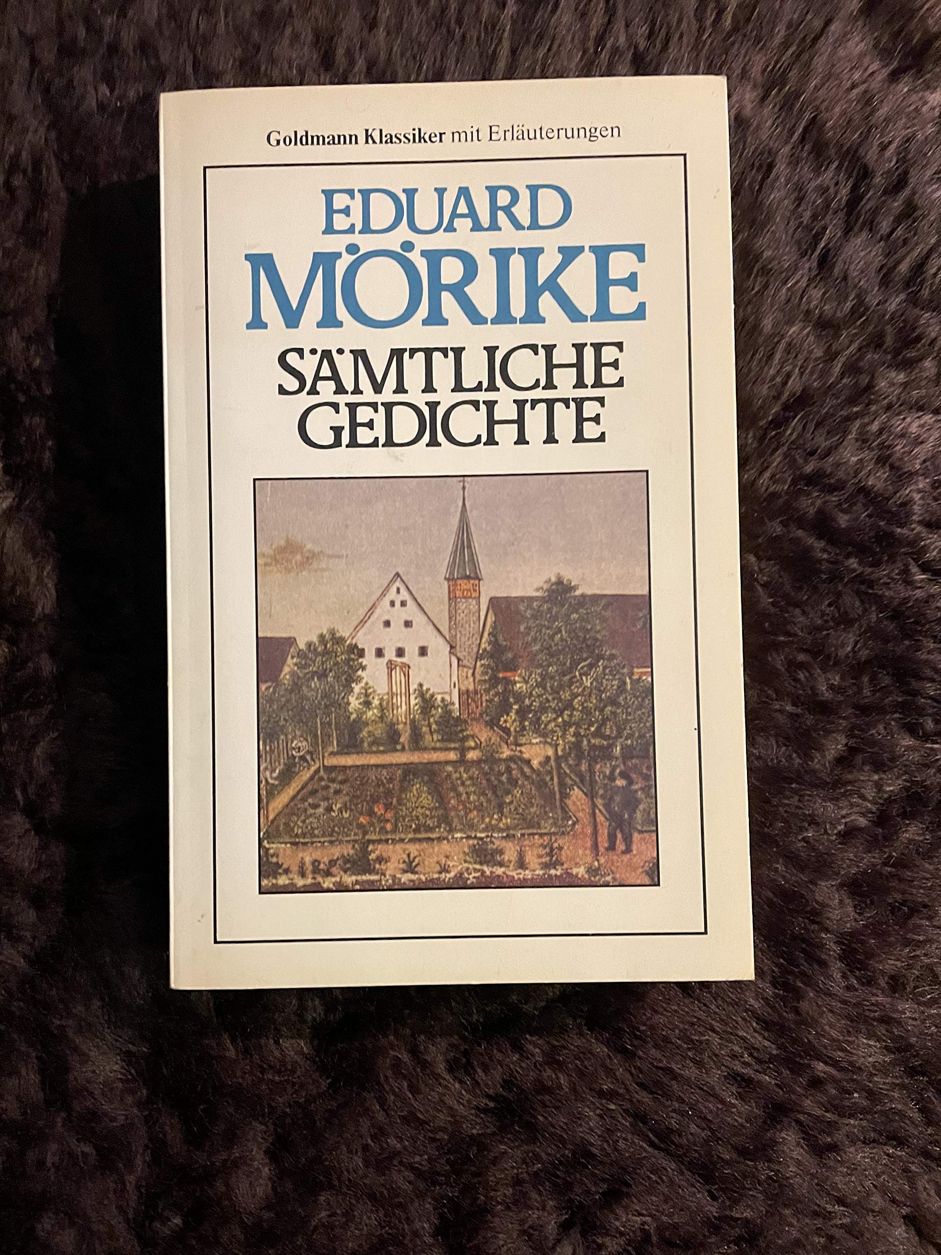 Sämtliche Gedichte und die Idylle vom Bodensee. Books