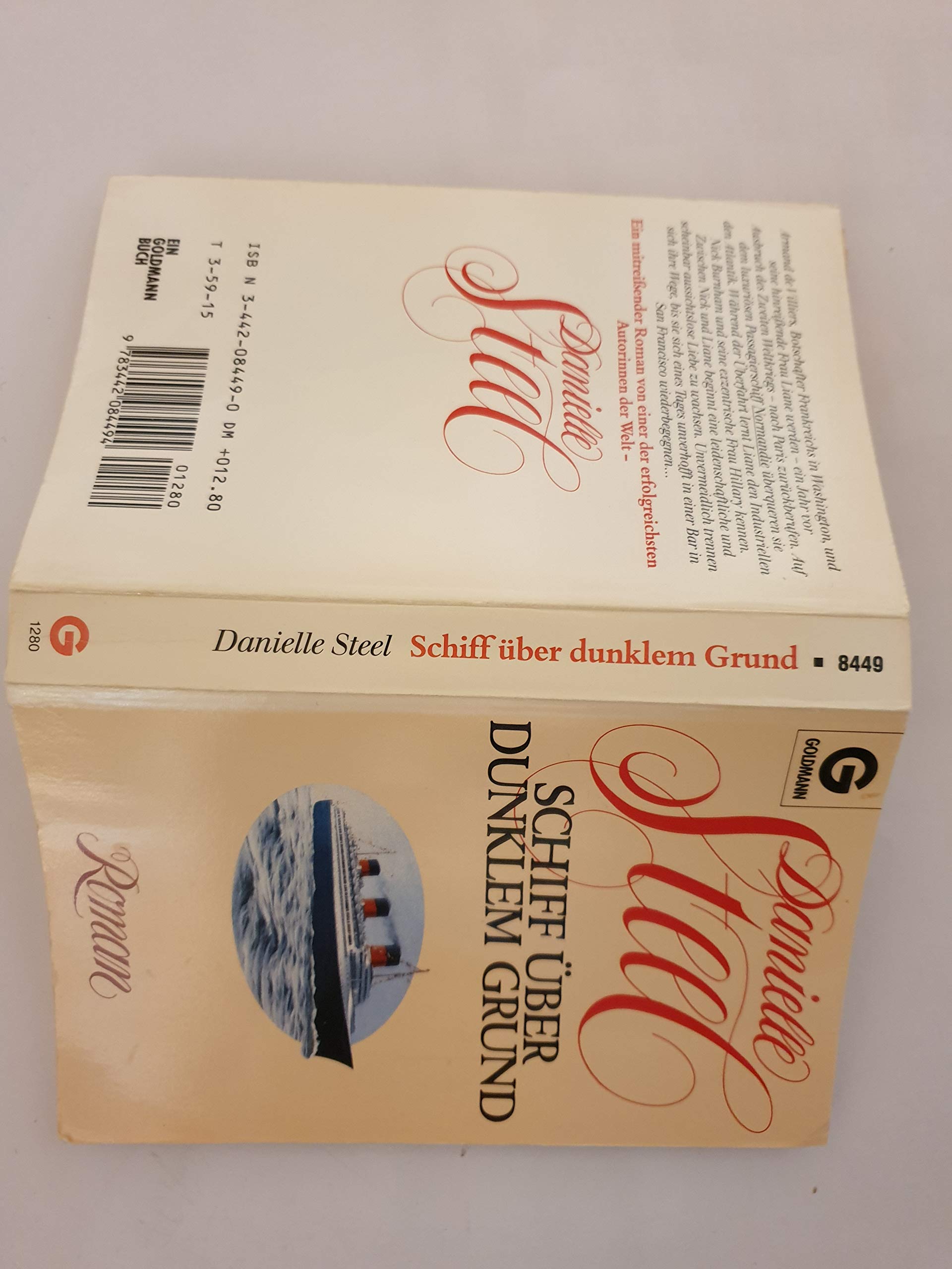 Schiff über dunklem Grund: Roman Contemporary literature