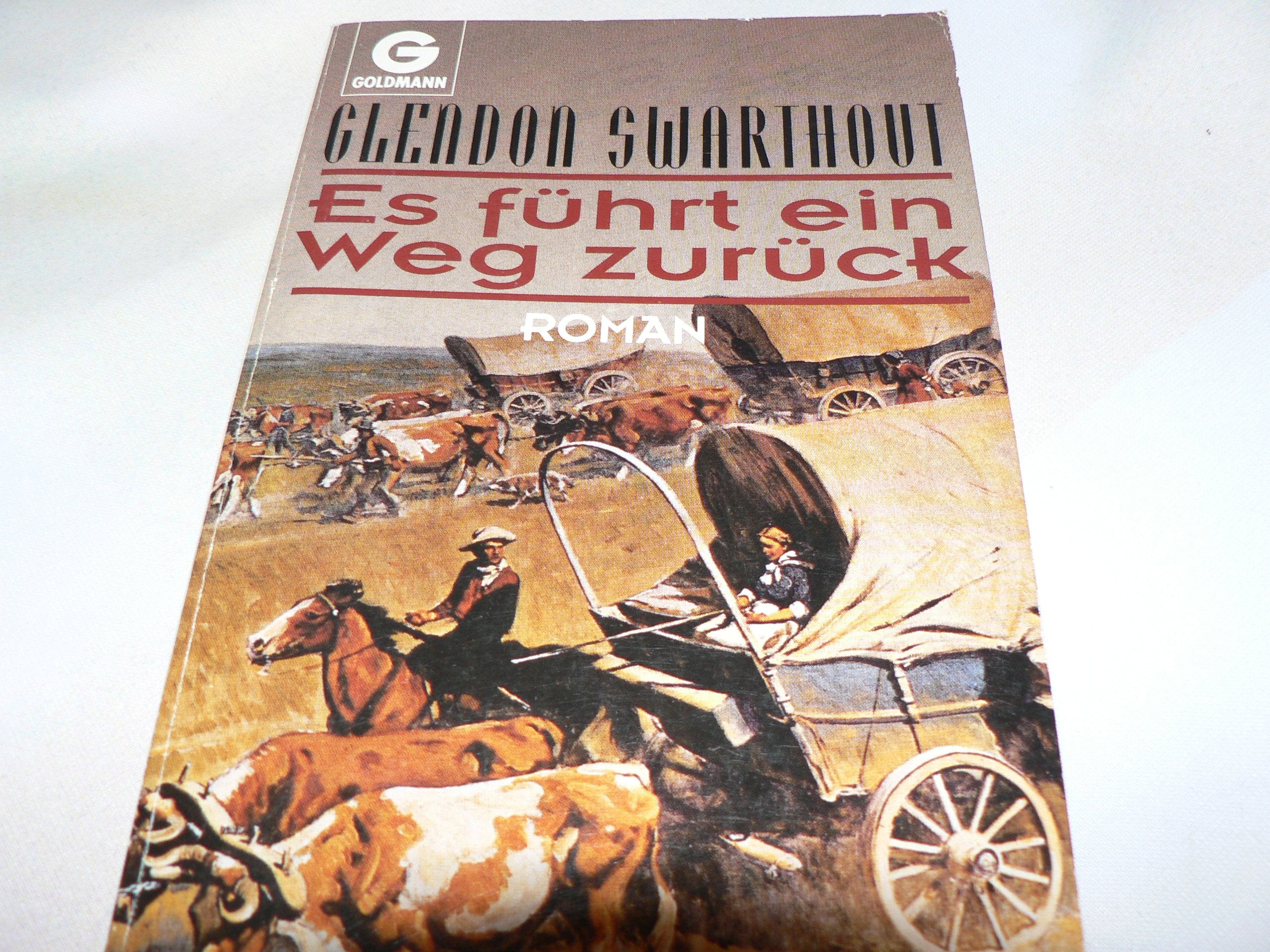 Es führt ein Weg zurück Books