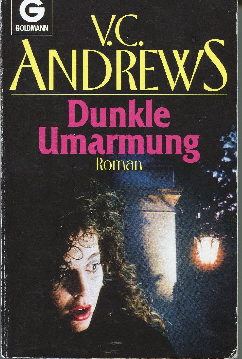 Die Casteel-Saga / Dunkle Umarmung (Goldmann Allgemeine Reihe) Contemporary literature