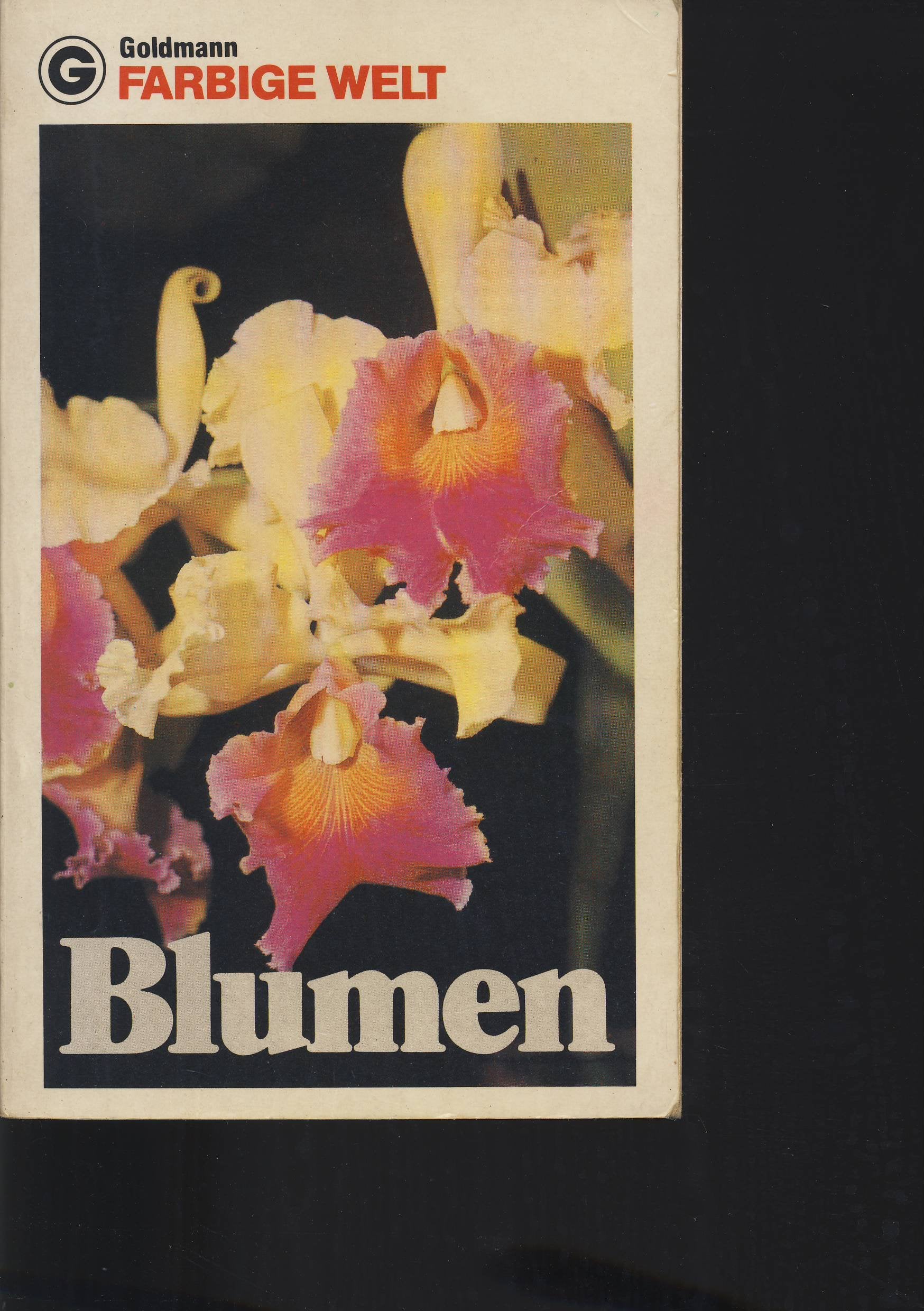 Product Image: Farbige Welt, Blumen.