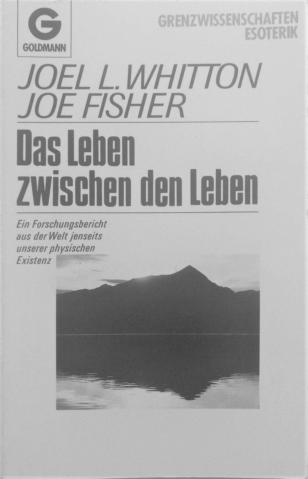 Das Leben zwischen den Leben. Ein Forschungsbericht aus der Welt jenseits unserer physischen Existenz Self-help