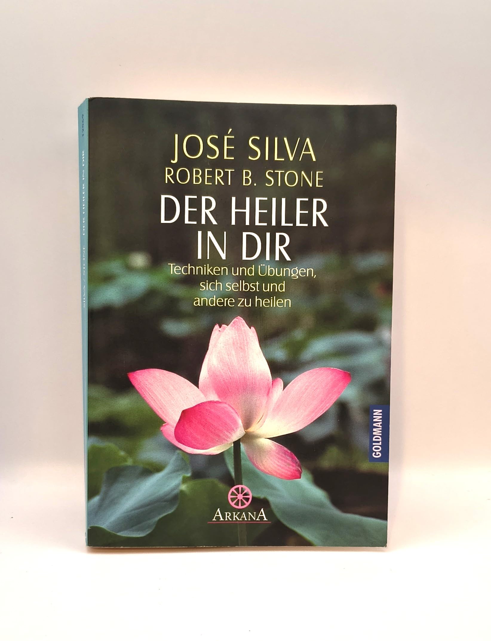 Der Heiler in dir: Techniken und Übungen, sich selbst und andere zu heilen Self-help