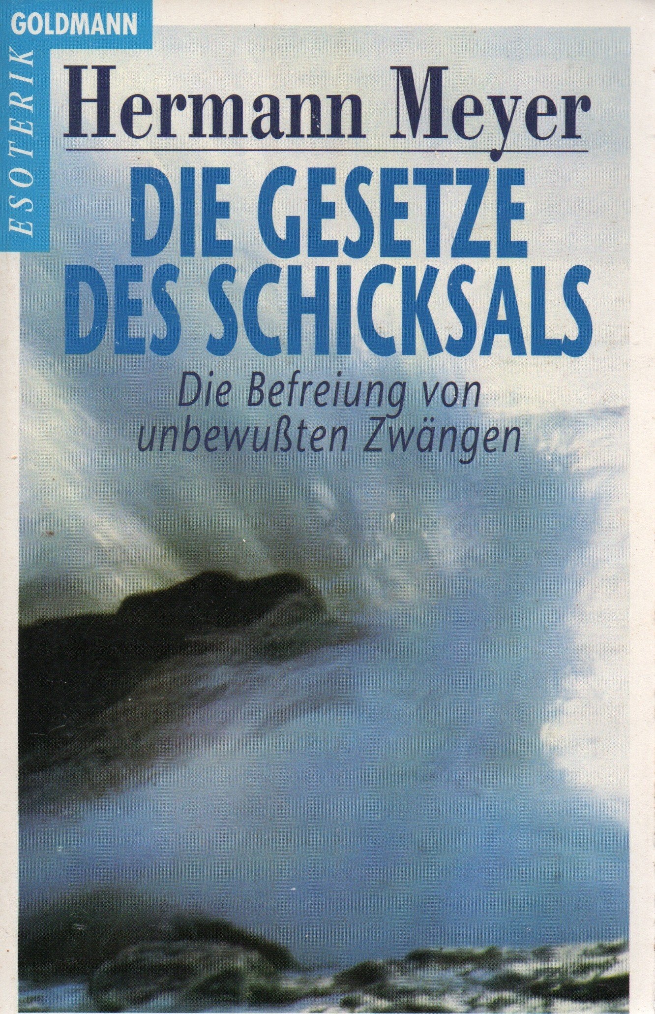 Die Gesetze des Schicksals: Die Befreiung von unbewußten Zwängen Partnership & Love