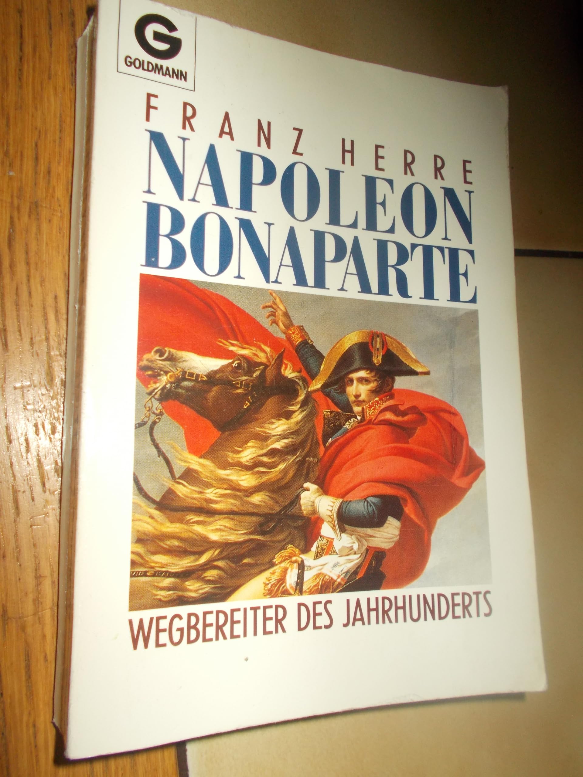 Napoleon Bonaparte Politics & Society