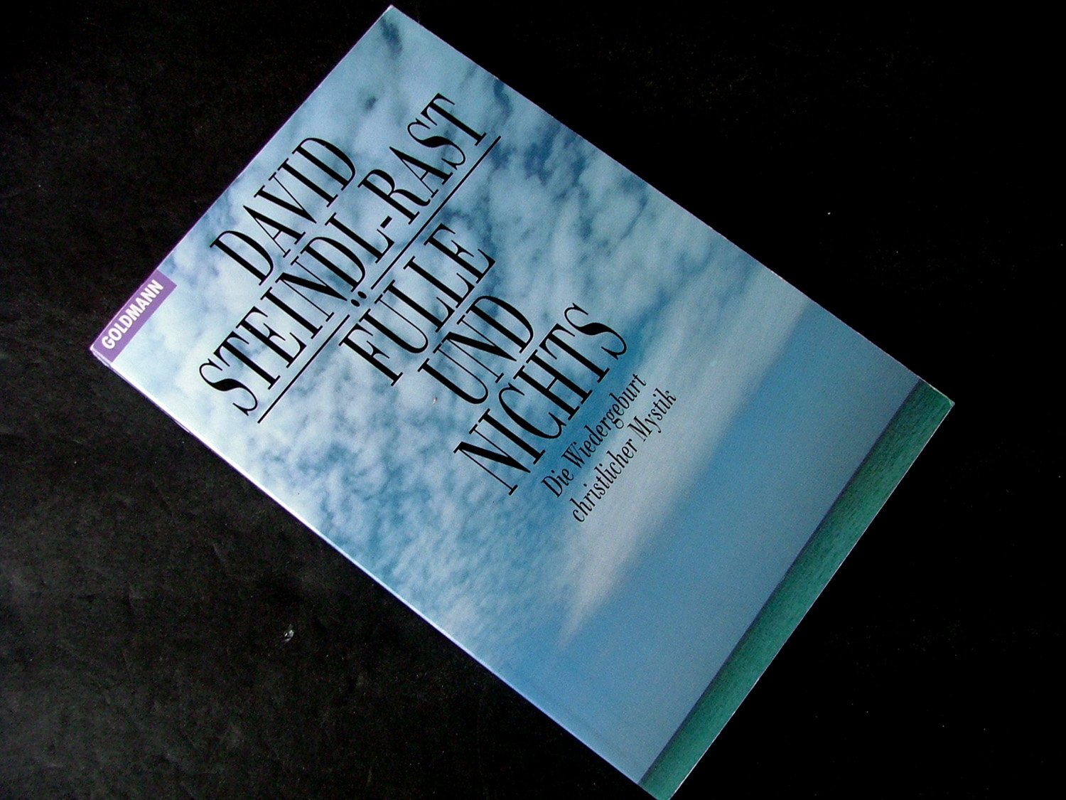Fülle und Nichts: Die Wiedergeburt der christlichen Mystik (Goldmann Sachbücher) Lifestyle Books