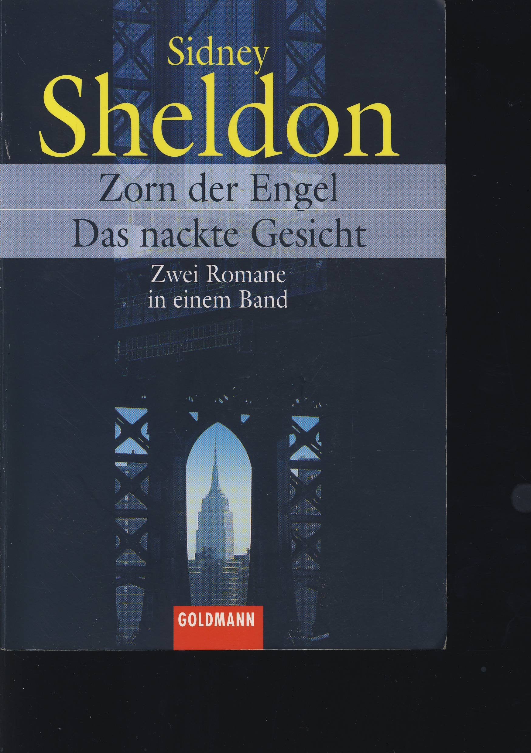Der Zorn der Engel / Das nackte Gesicht. Zwei Romane in einem Band Contemporary literature