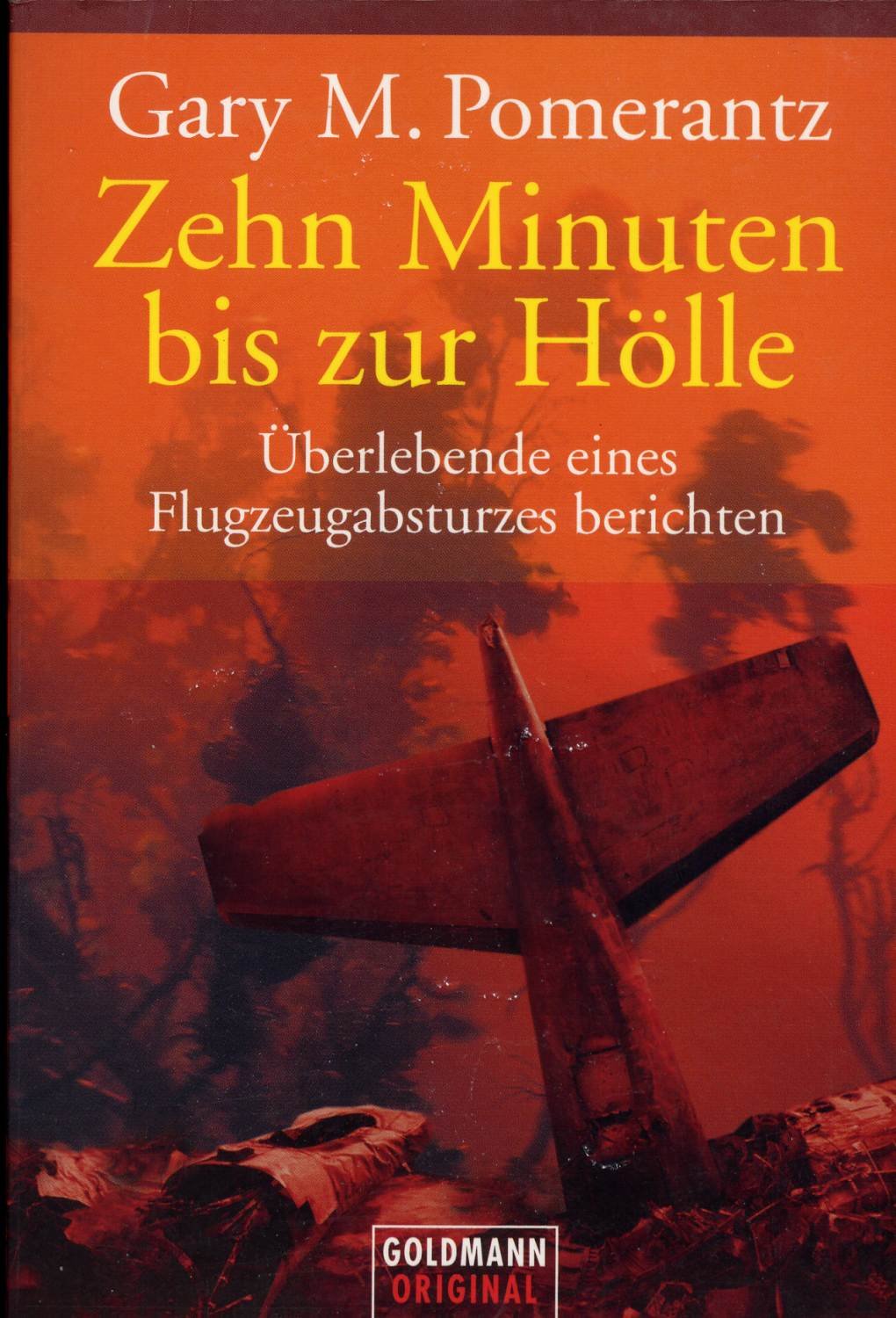 Zehn Minuten bis zur Hölle. Überlebende eines Flugzeugabsturzes berichten Books