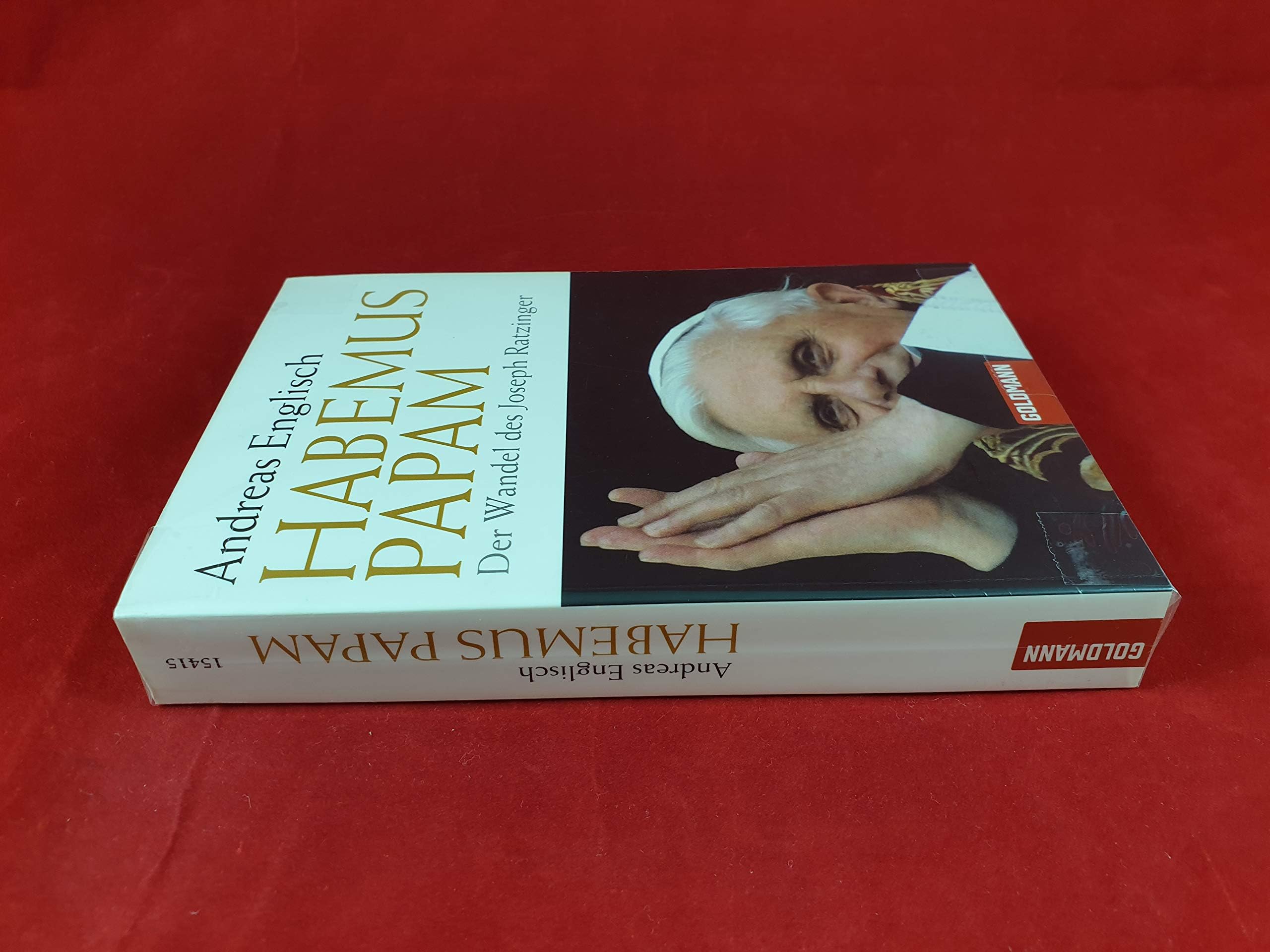 Habemus Papam: Der Wandel des Joseph Ratzinger Politics & Society