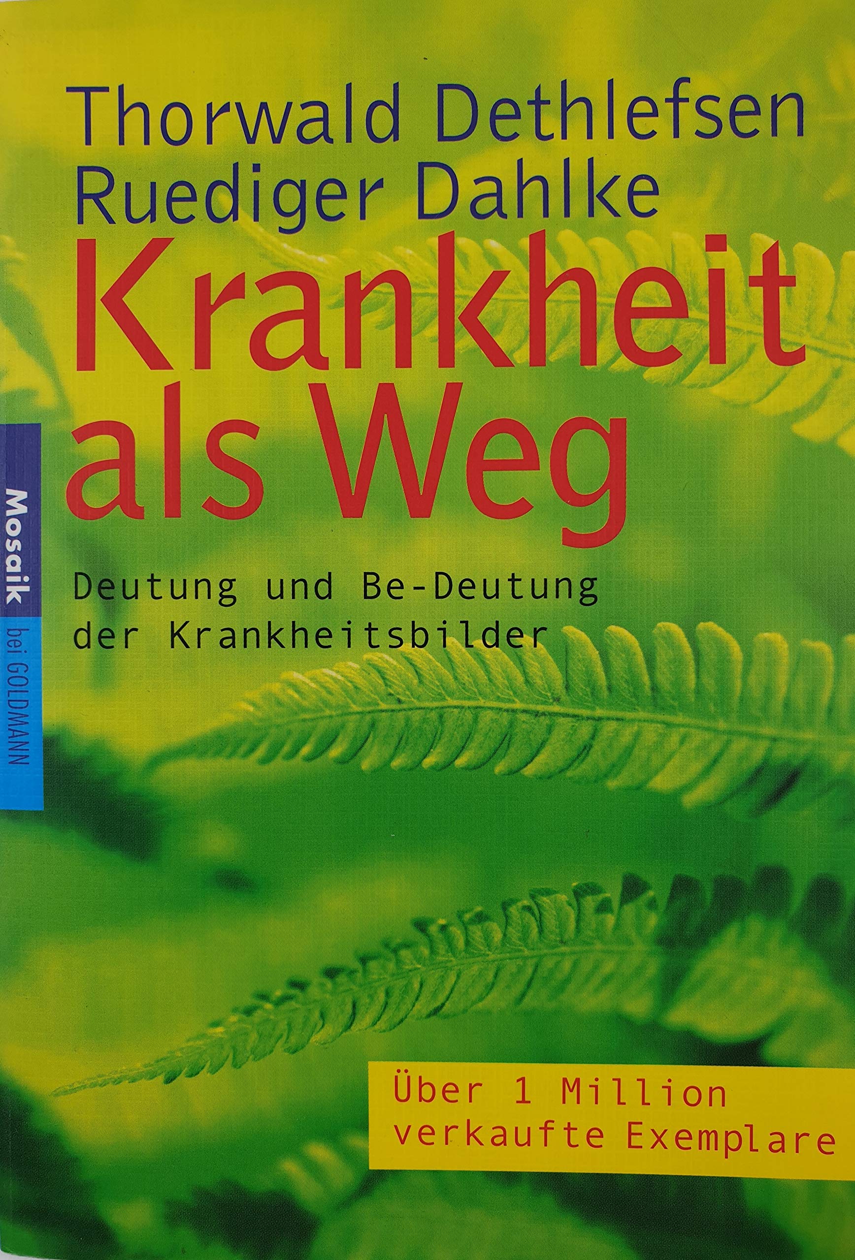 Krankheit als Weg: Deutung und Be-Deutung der Krankheitsbilder Medicine