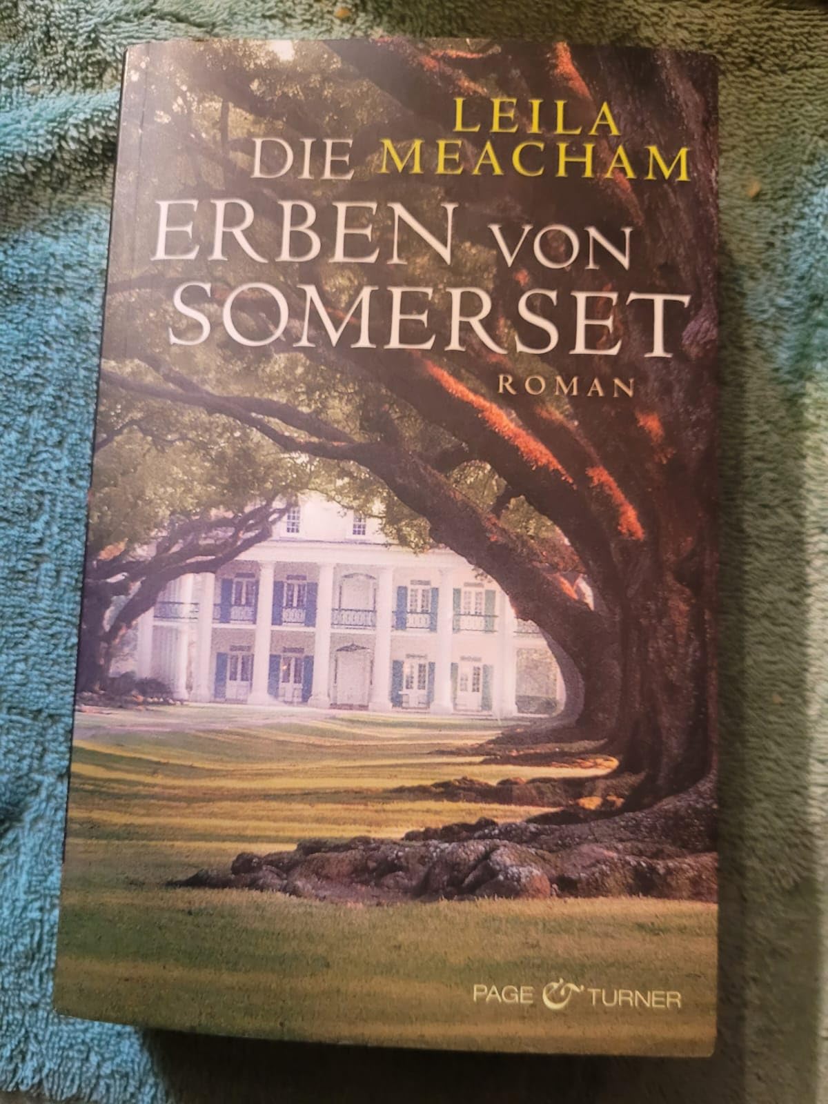 Die Erben von Somerset: Roman Contemporary literature