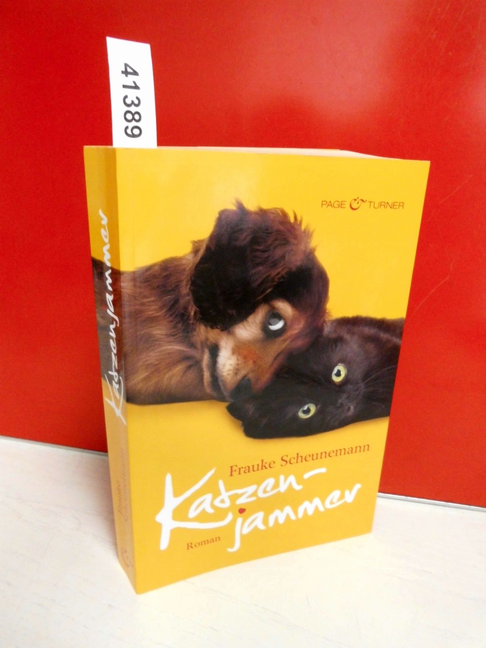 Katzenjammer Contemporary literature Books