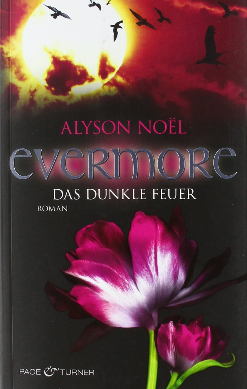 Evermore 4 - Das dunkle Feuer: Roman Historical Fiction