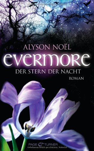 Evermore 5 - Der Stern der Nacht: Roman Historical Fiction