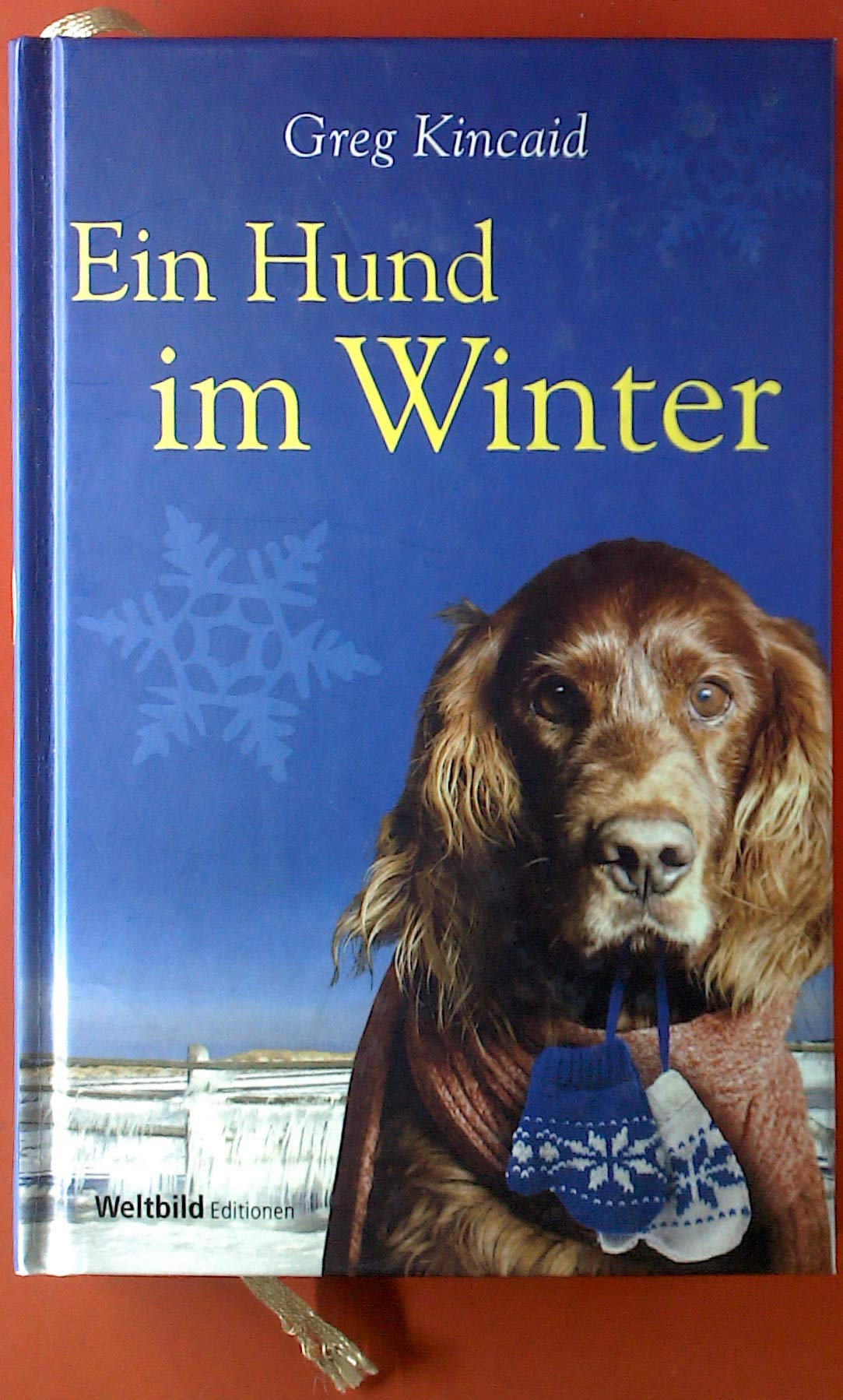 Ein Hund im Winter Contemporary literature Books