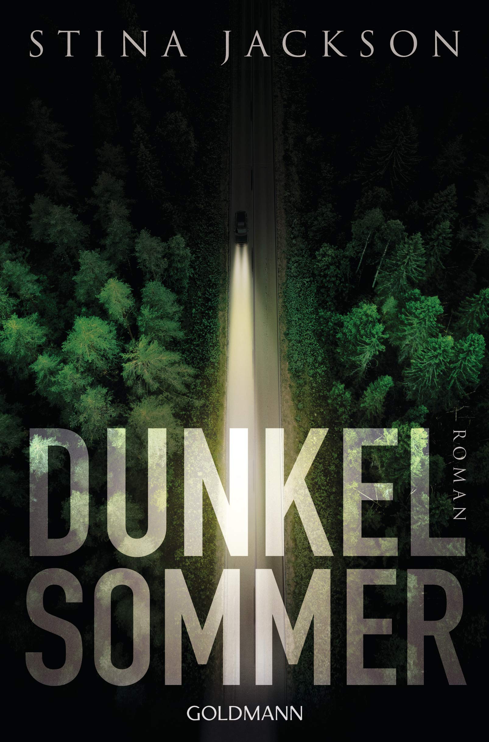 Dunkelsommer Contemporary literature Books