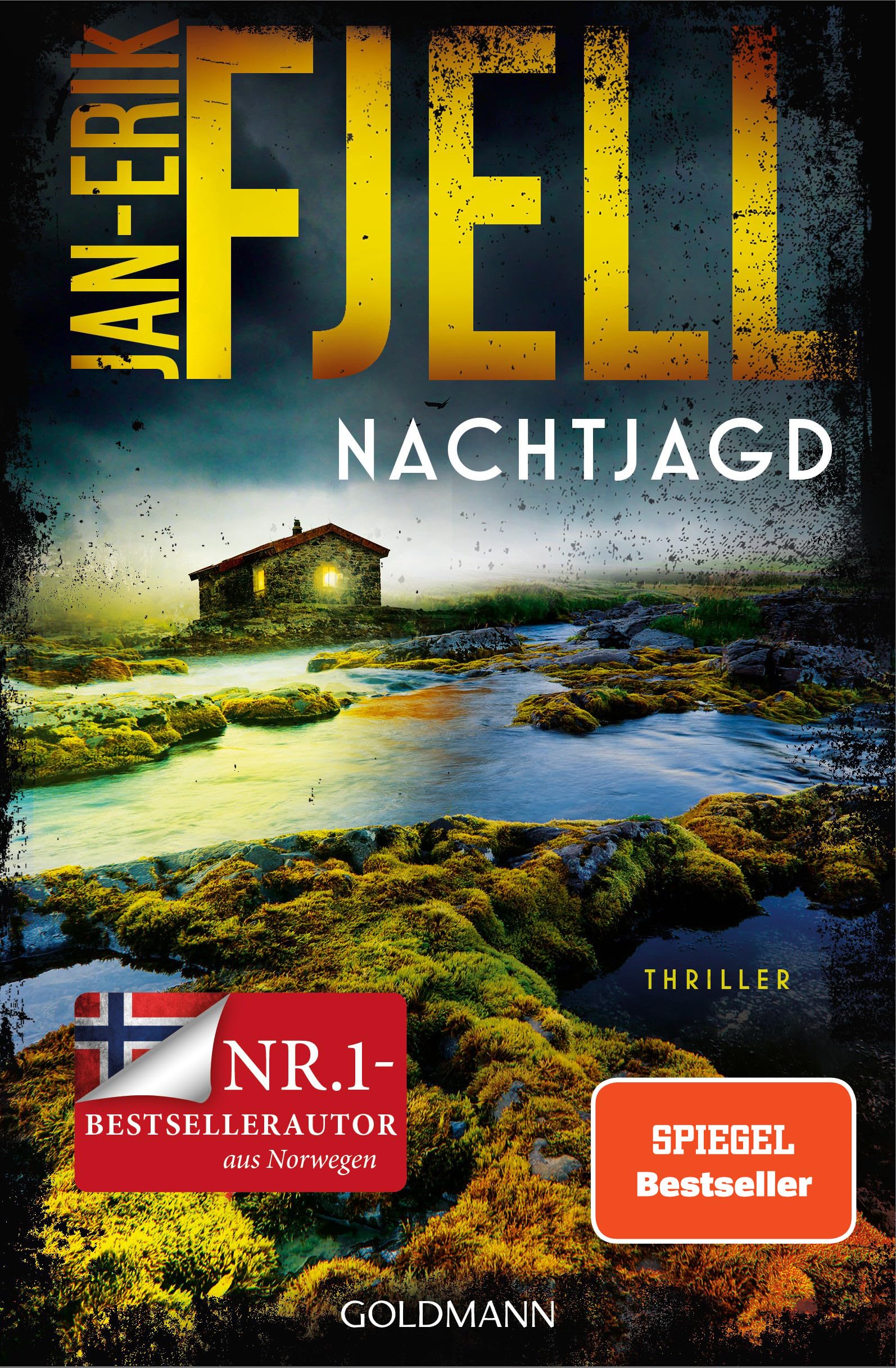 Nachtjagd Contemporary literature