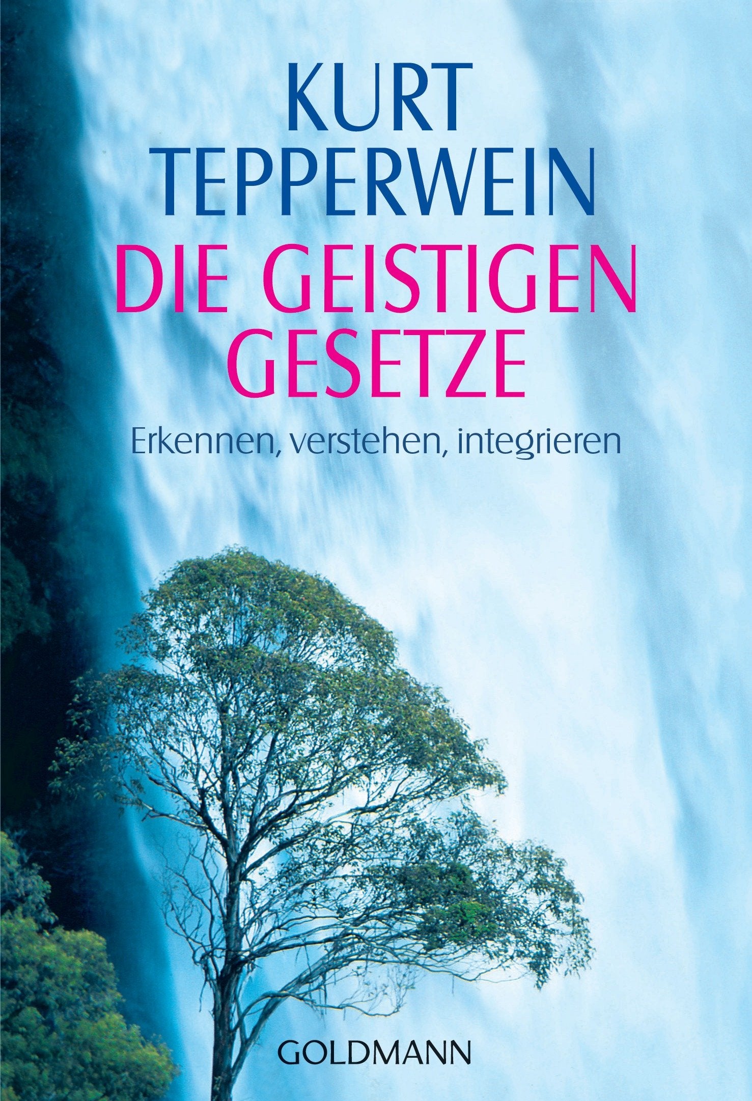 Product Image: Die Geistigen Gesetze