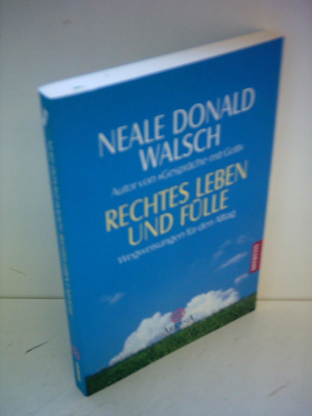 Rechtes Leben und Fülle: Wegweisungen für den Alltag Politics & History